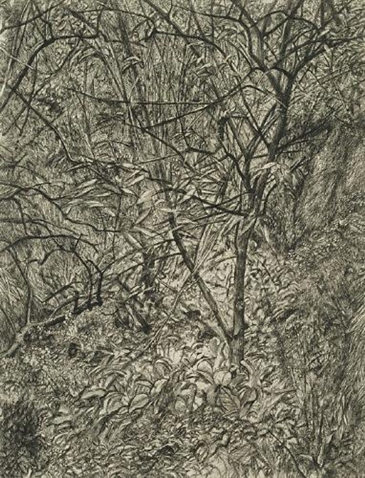 Garden in Winter by Lucian Freud