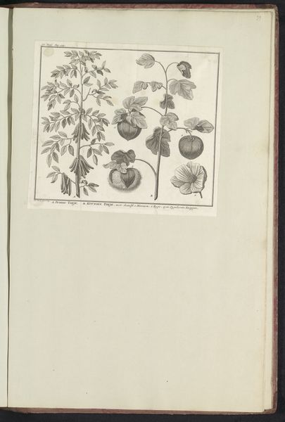 Slide 13