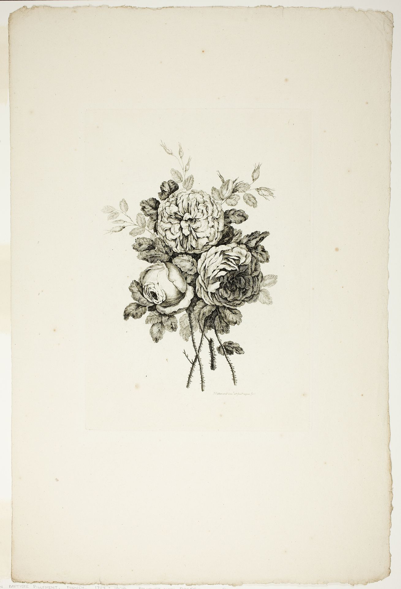 Bouquet with Roses, from Collection of Different Bouquets of Flowers, Invented and Drawn by Jean Pillement and Engraved by P. C. Canot by Pierre Charles Canot
