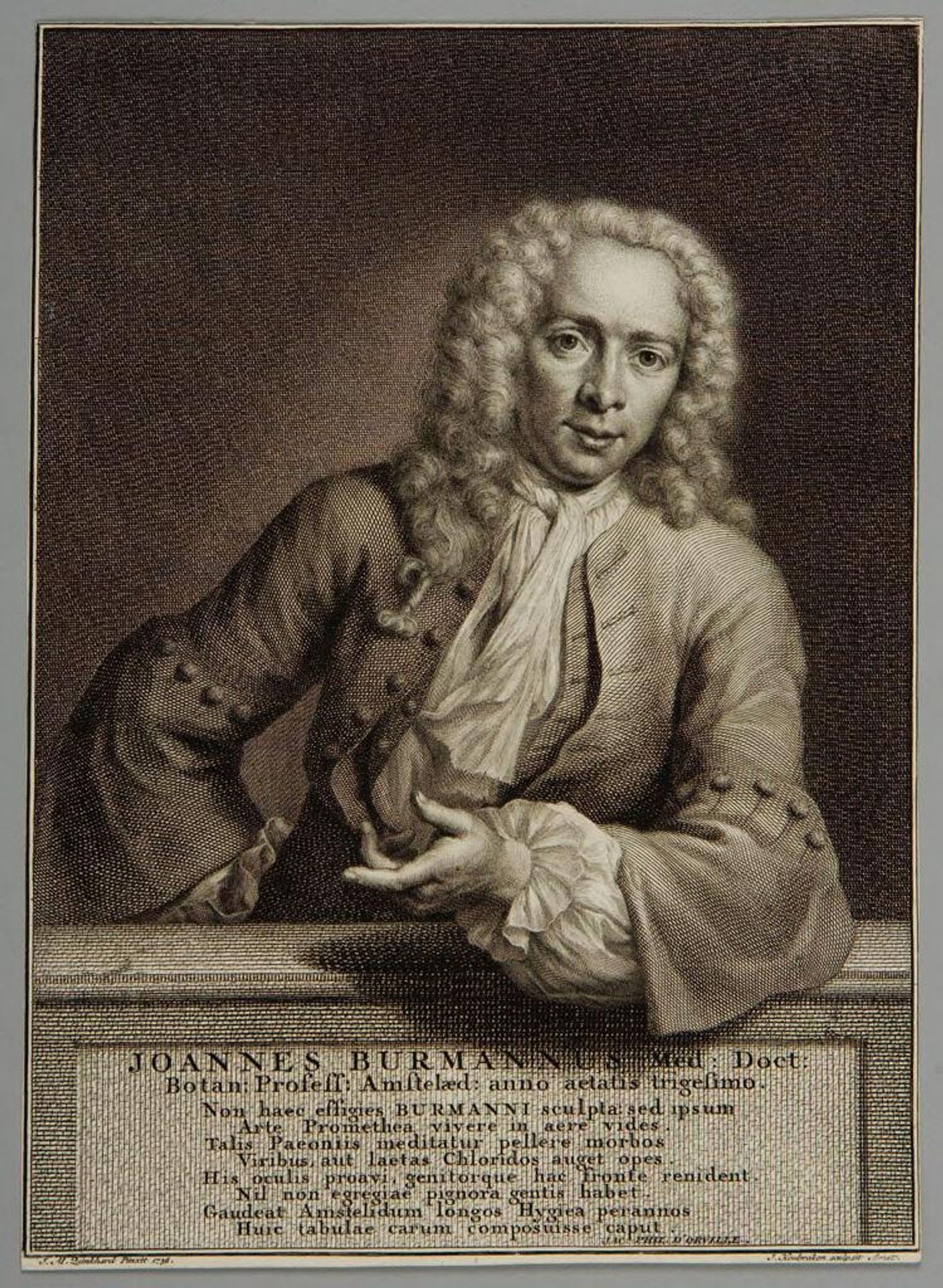 Joannes Burmannus by Jacobus Houbraken