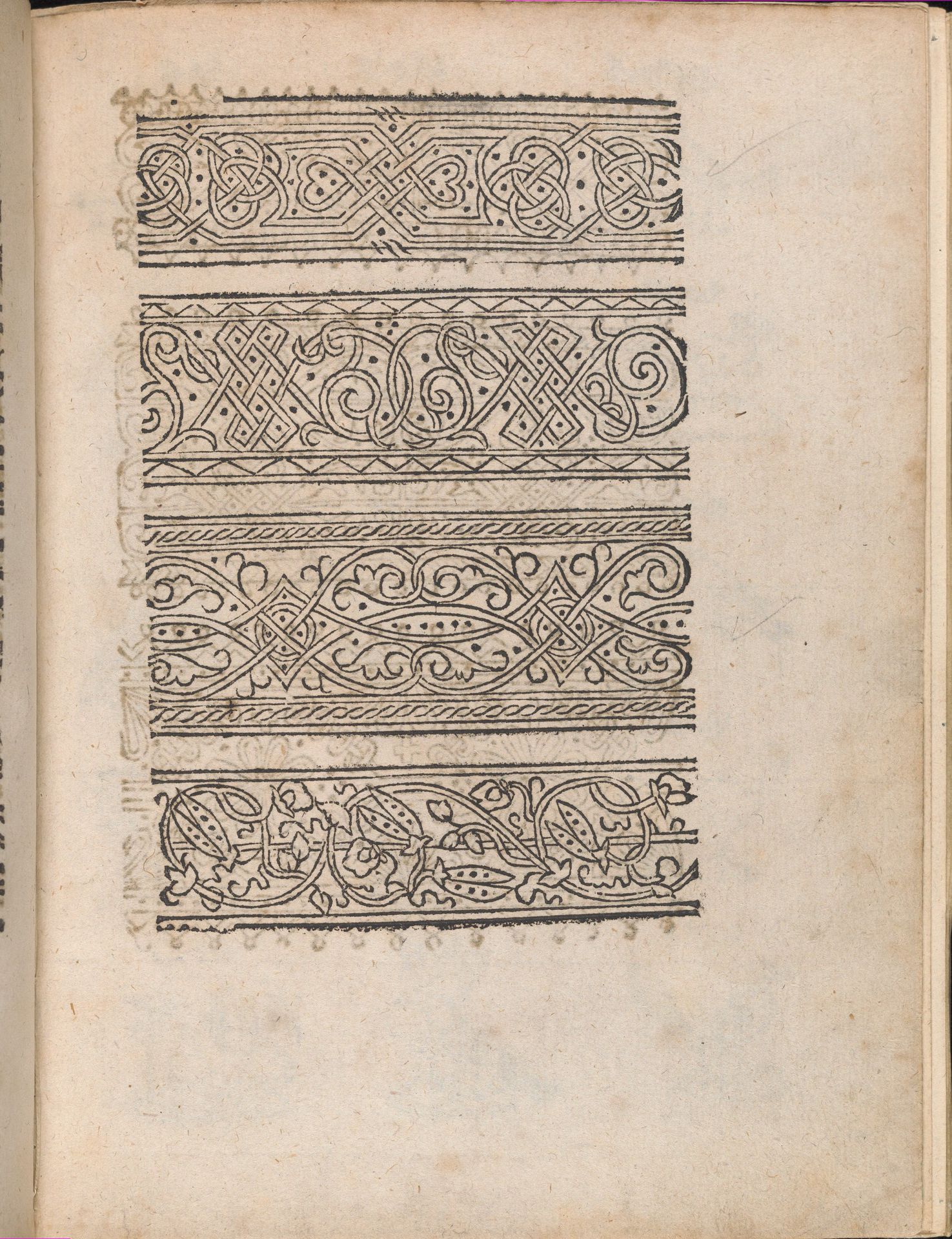 Modelbuch aller Art Nehens vn Stickens (Page 12r) by Christian Egenolff