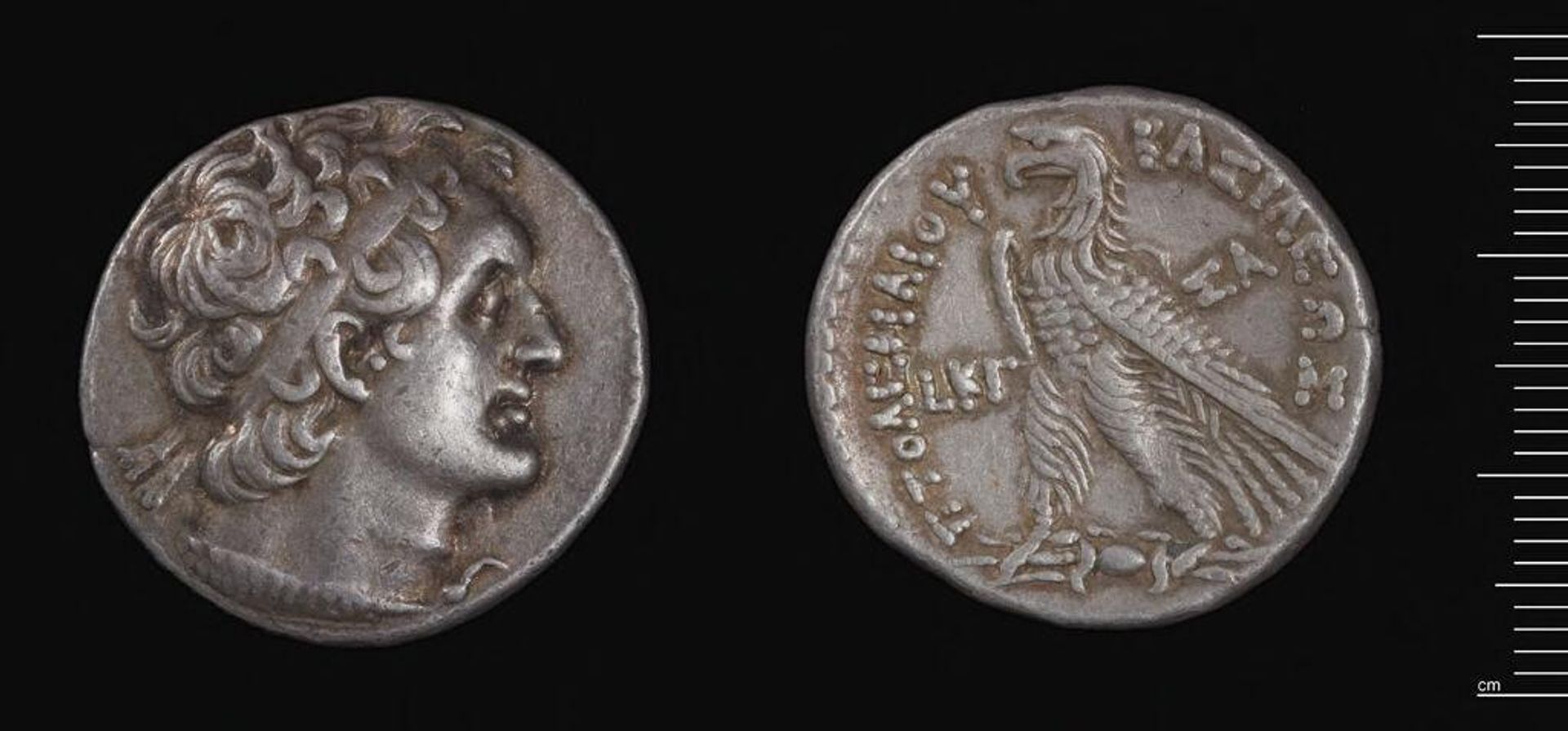 Tetradrachm of Ptolemy VI, Salamis by Ptolemy VI Philometor