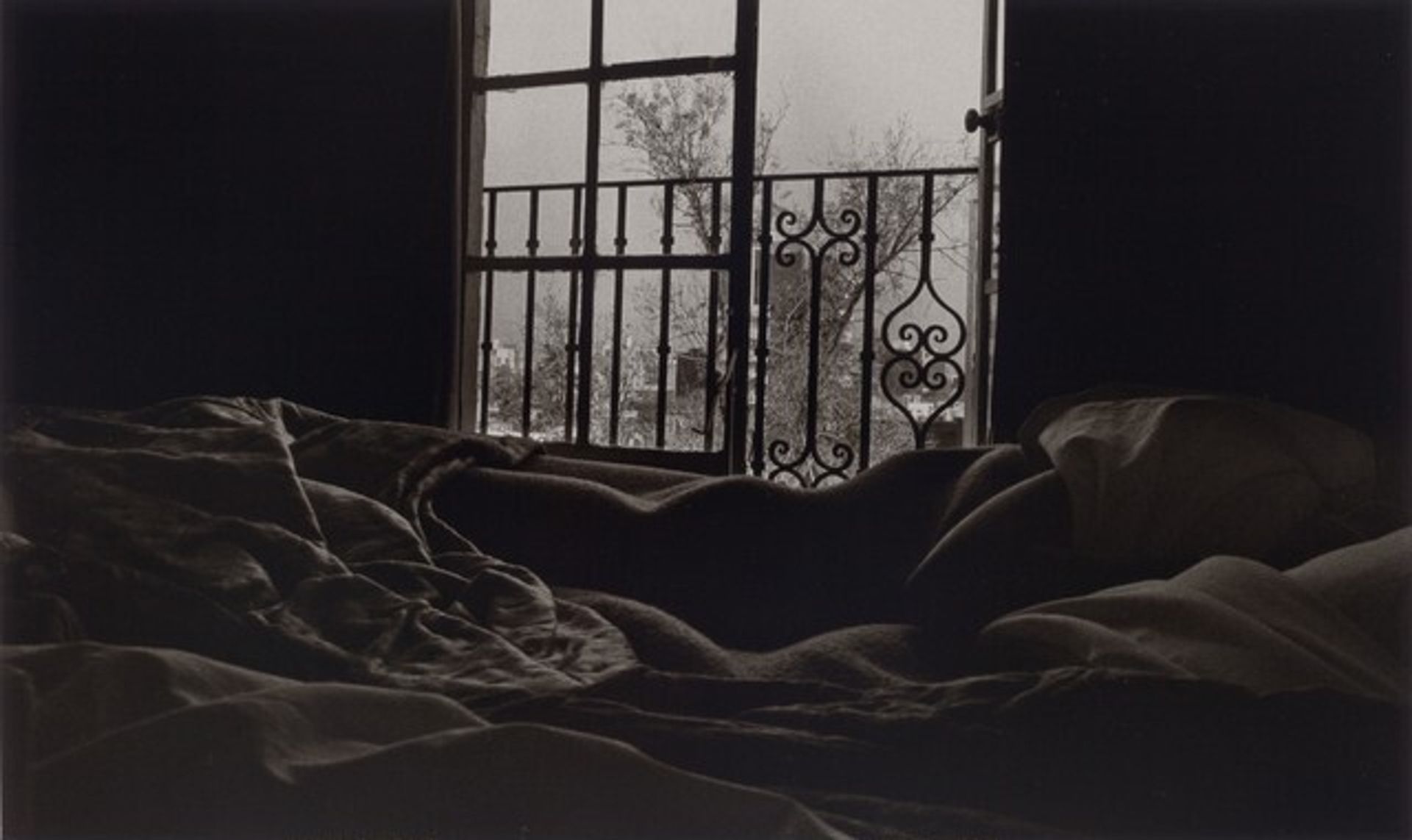 Morning Light by Nathan Lerner