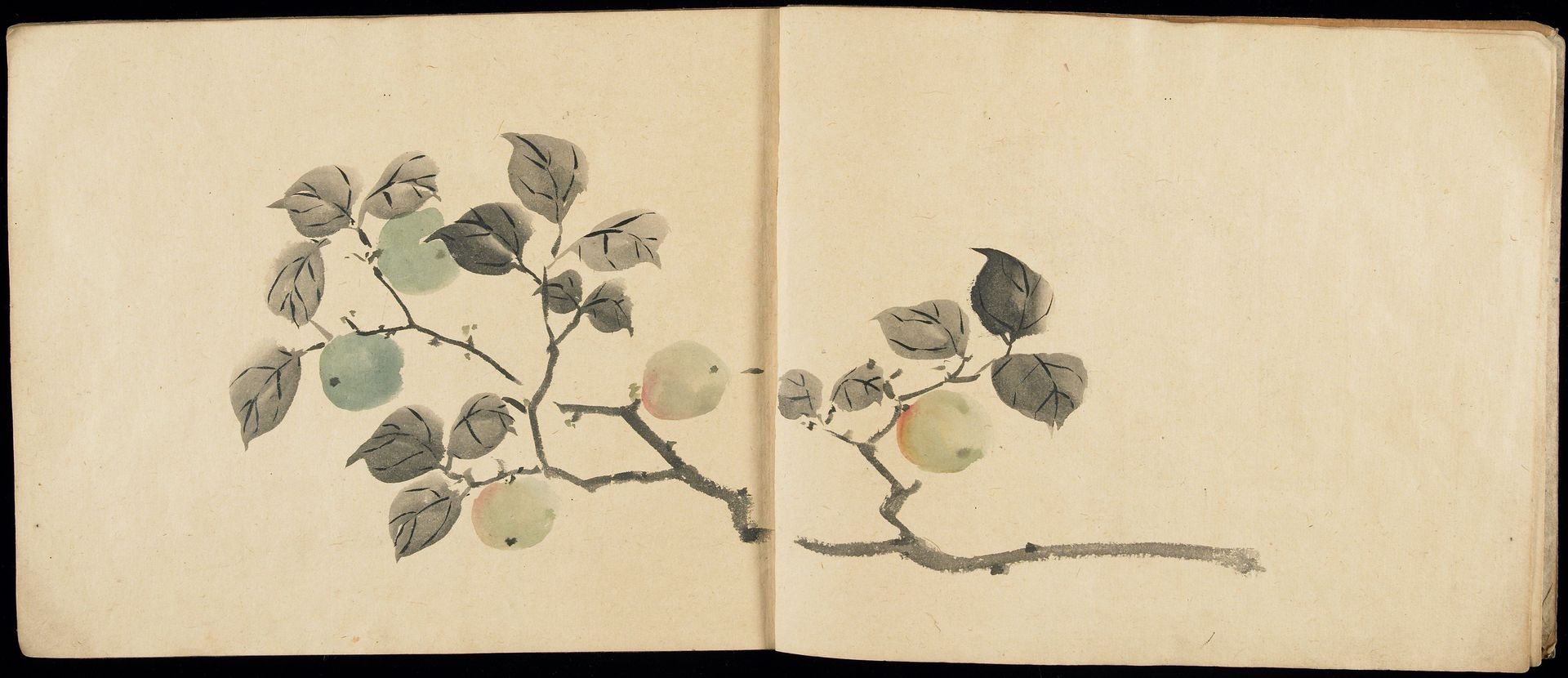 Sketchbook by Matsumoto Kōzan