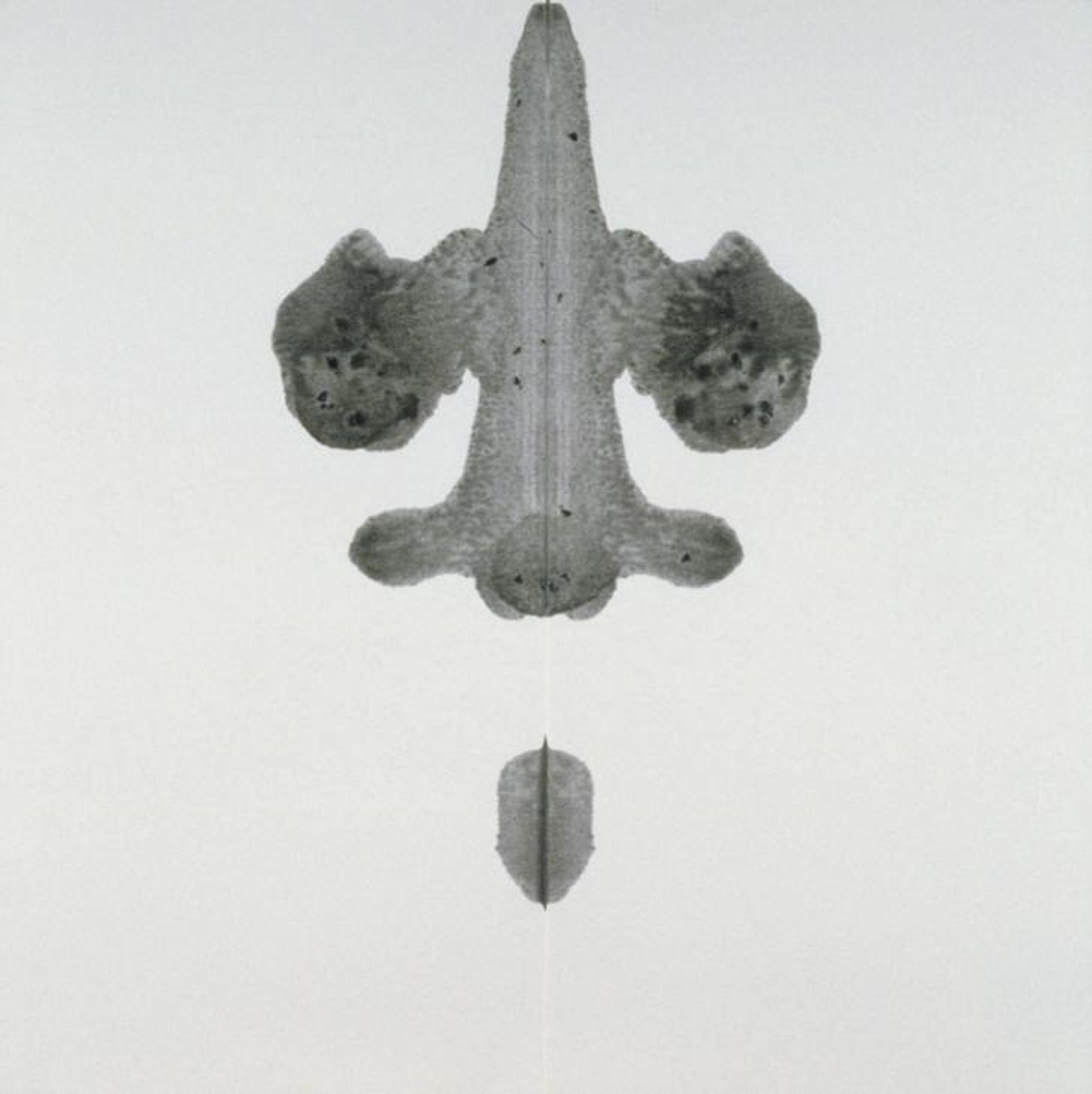 Pornographic Drawing by Cornelia Parker