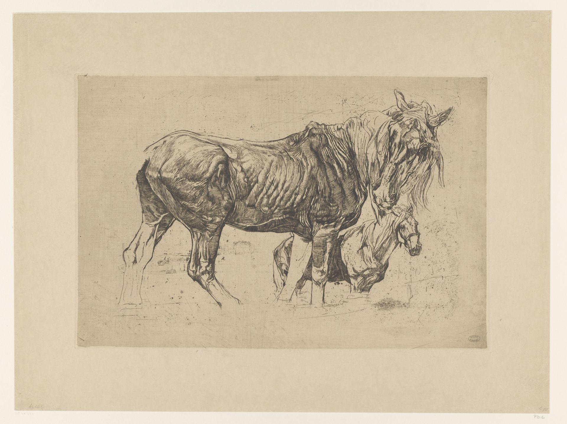 Twee paarden by Pieter Dupont