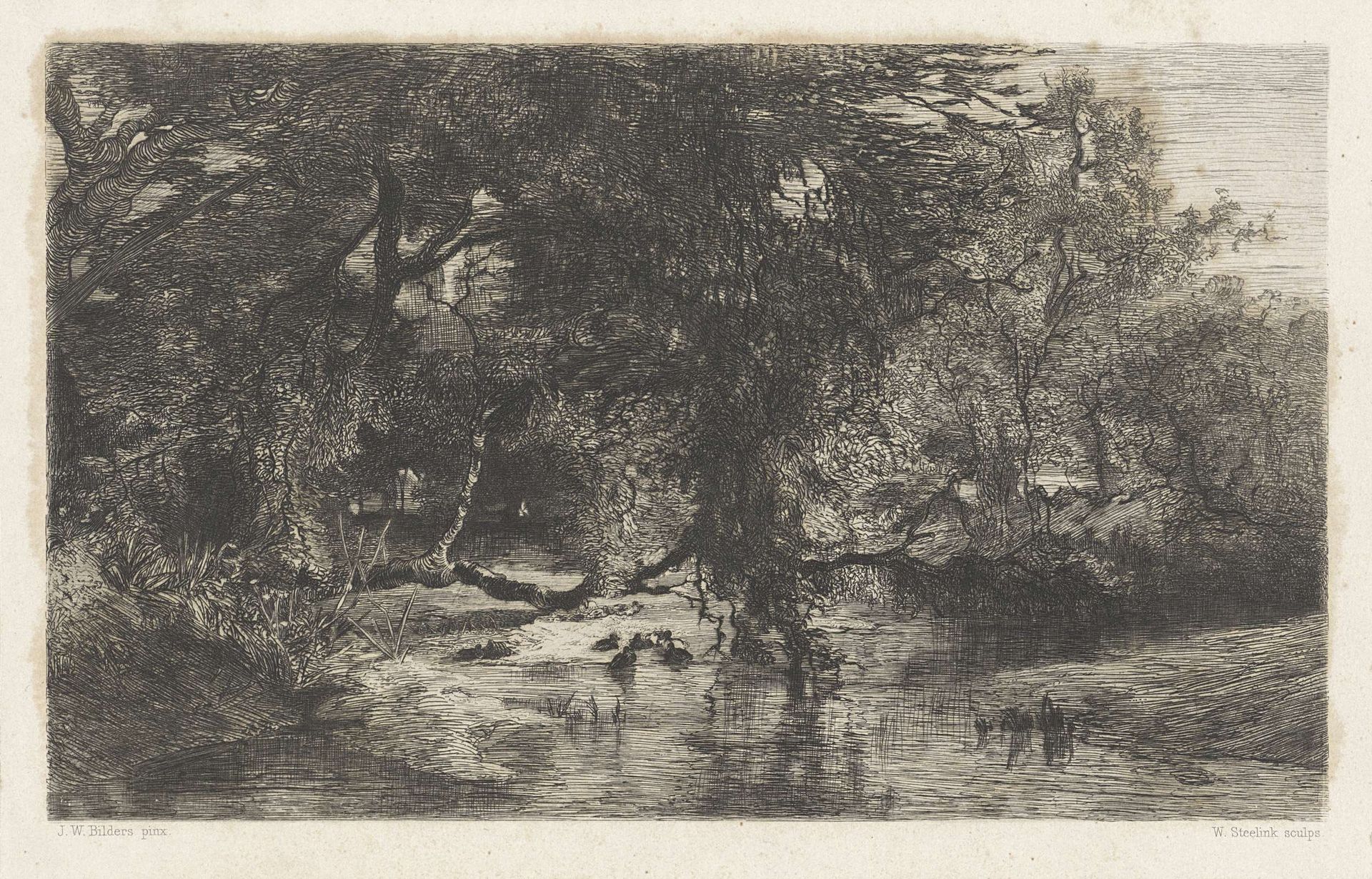 Bomen langs het water by Willem (I) Steelink