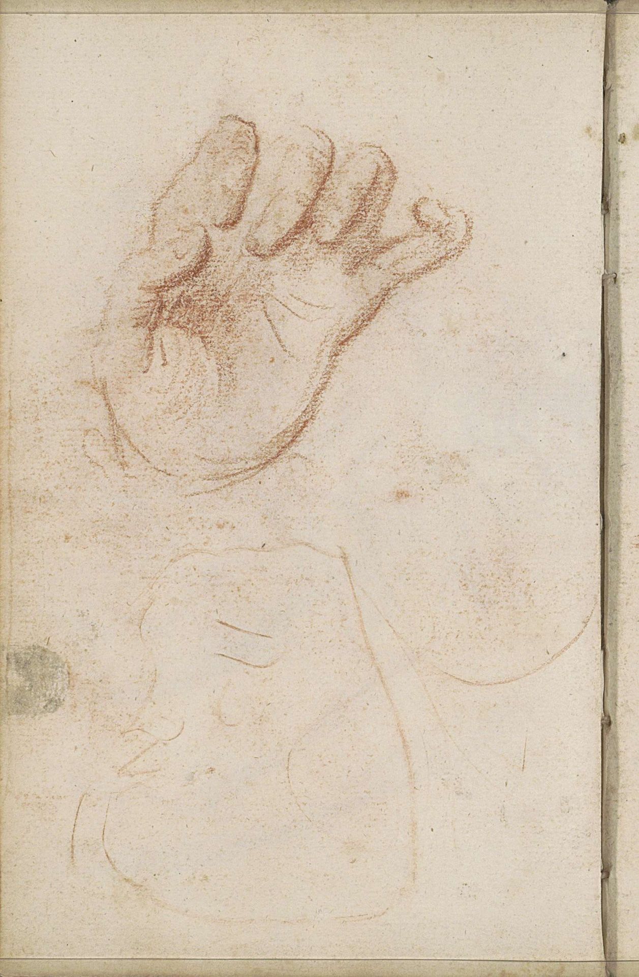 Handpalm en vingers by Petrus Johannes van Reysschoot