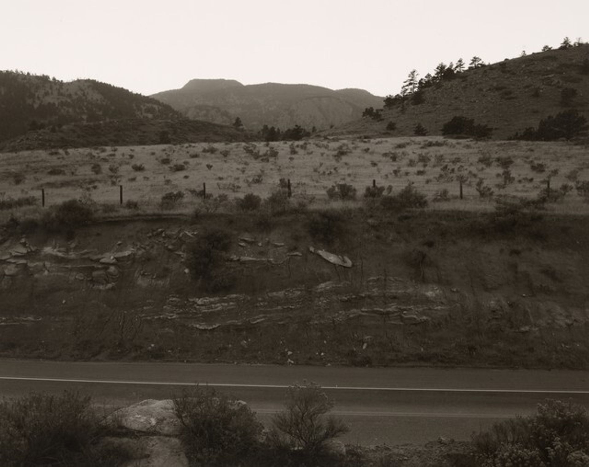 Along the South St. Vrain Creek, Boulder County, Colorado by Robert Adams