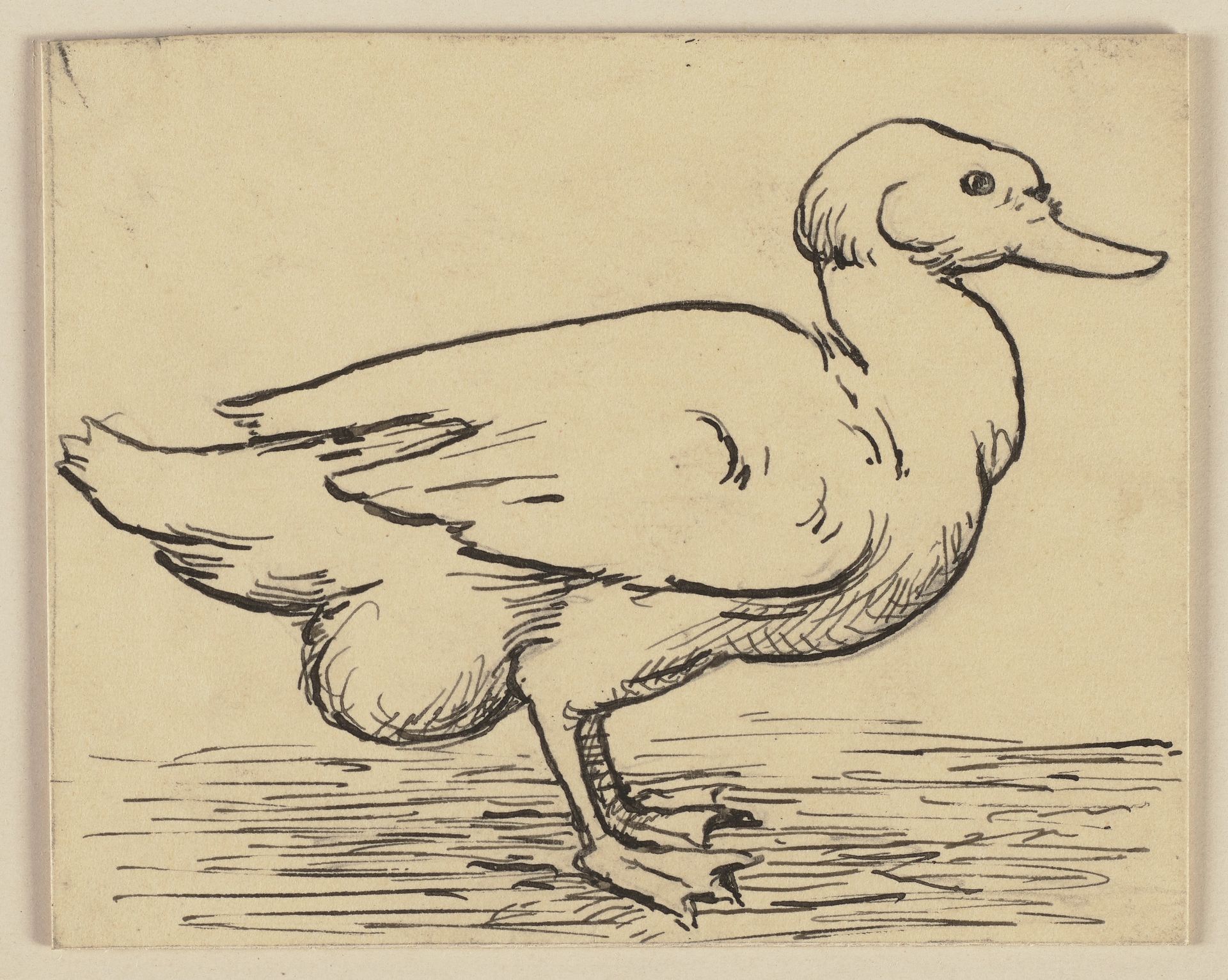 Drawing for the primer_ Duck by Hans Thoma