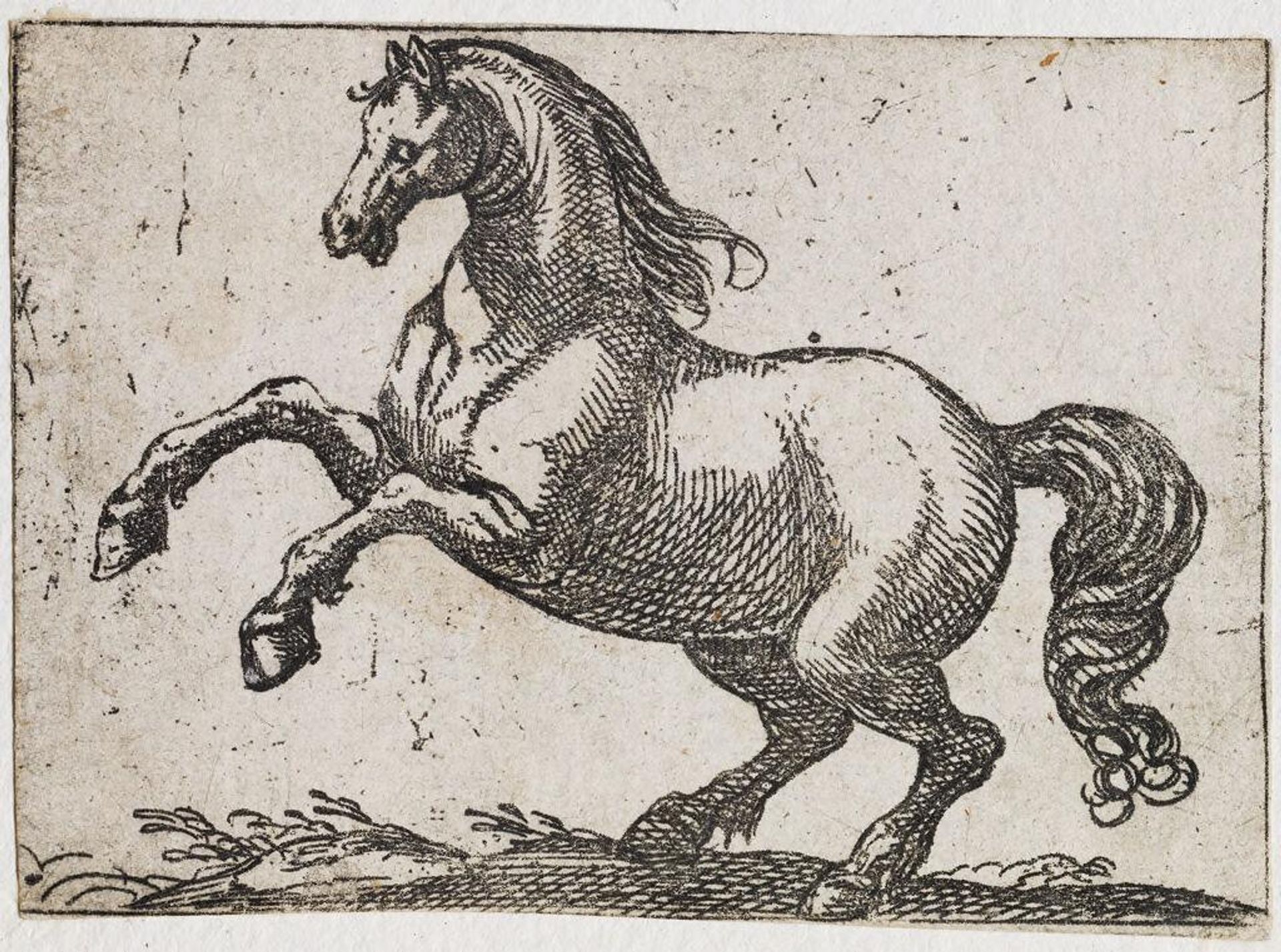 Rearing Horse by Antonio Tempesta