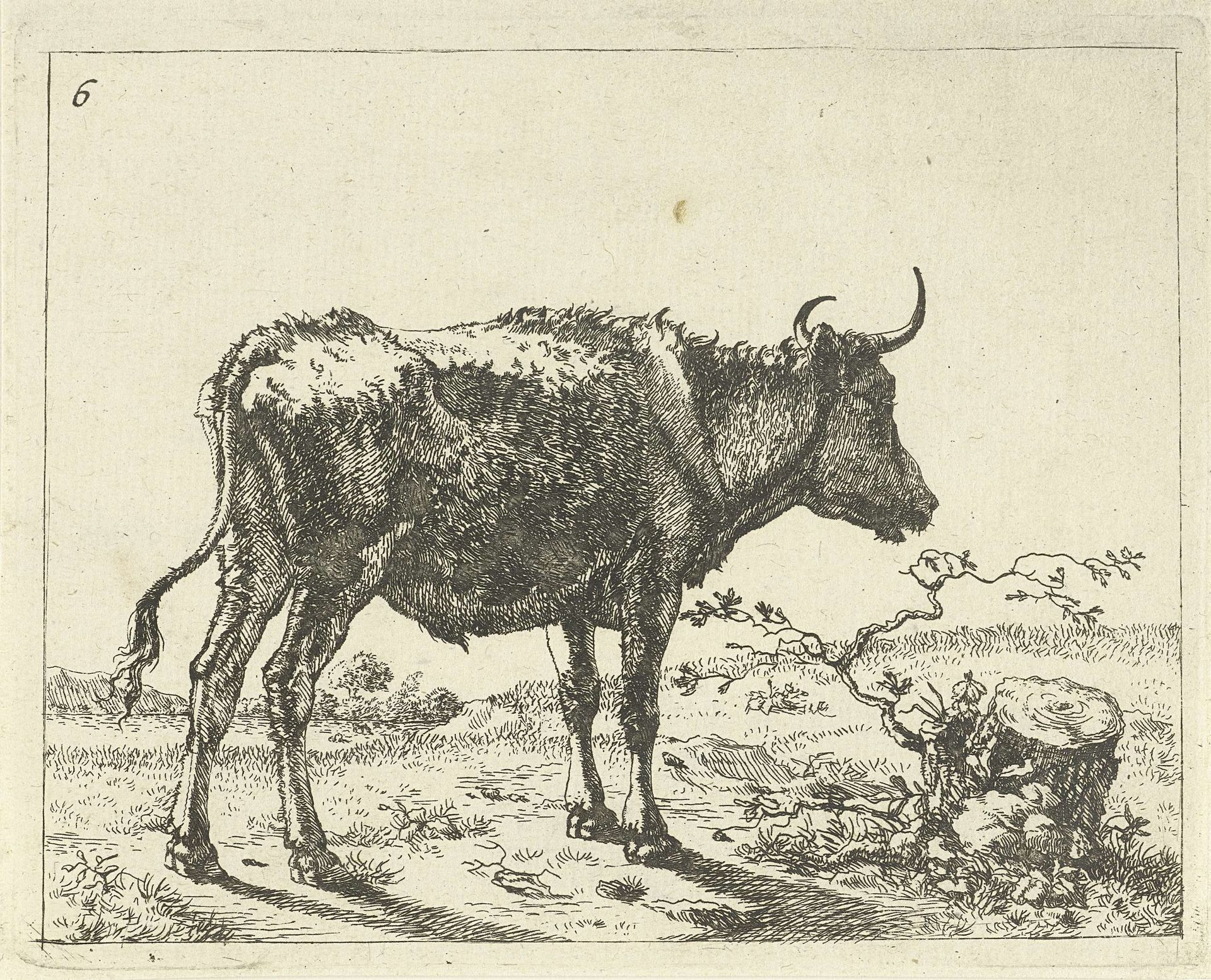 Stier staand bij boomstronk by Marcus de Bye