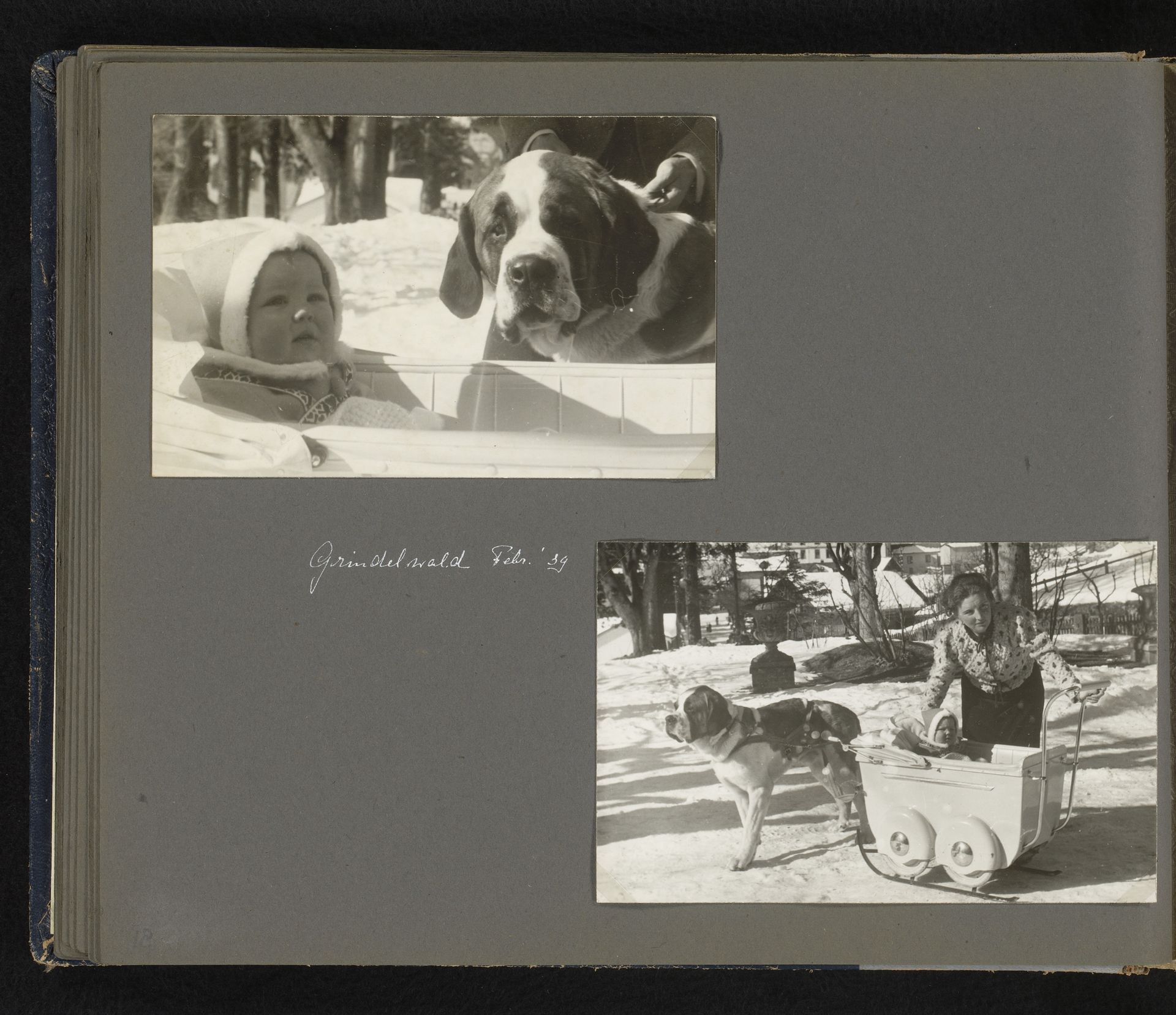 Twee foto's van prinses Beatrix als peuter in de kinderwagen met een hond in de sneeuw by Gompers