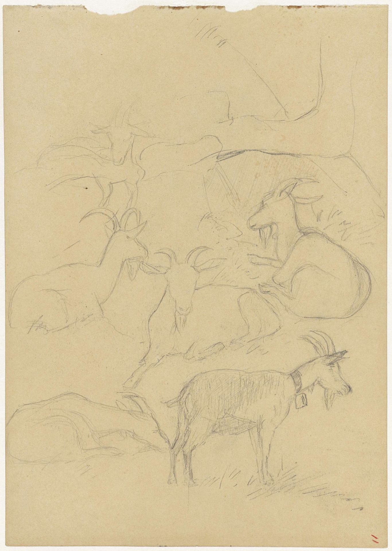 Studieblad met geiten by Jozef Israëls