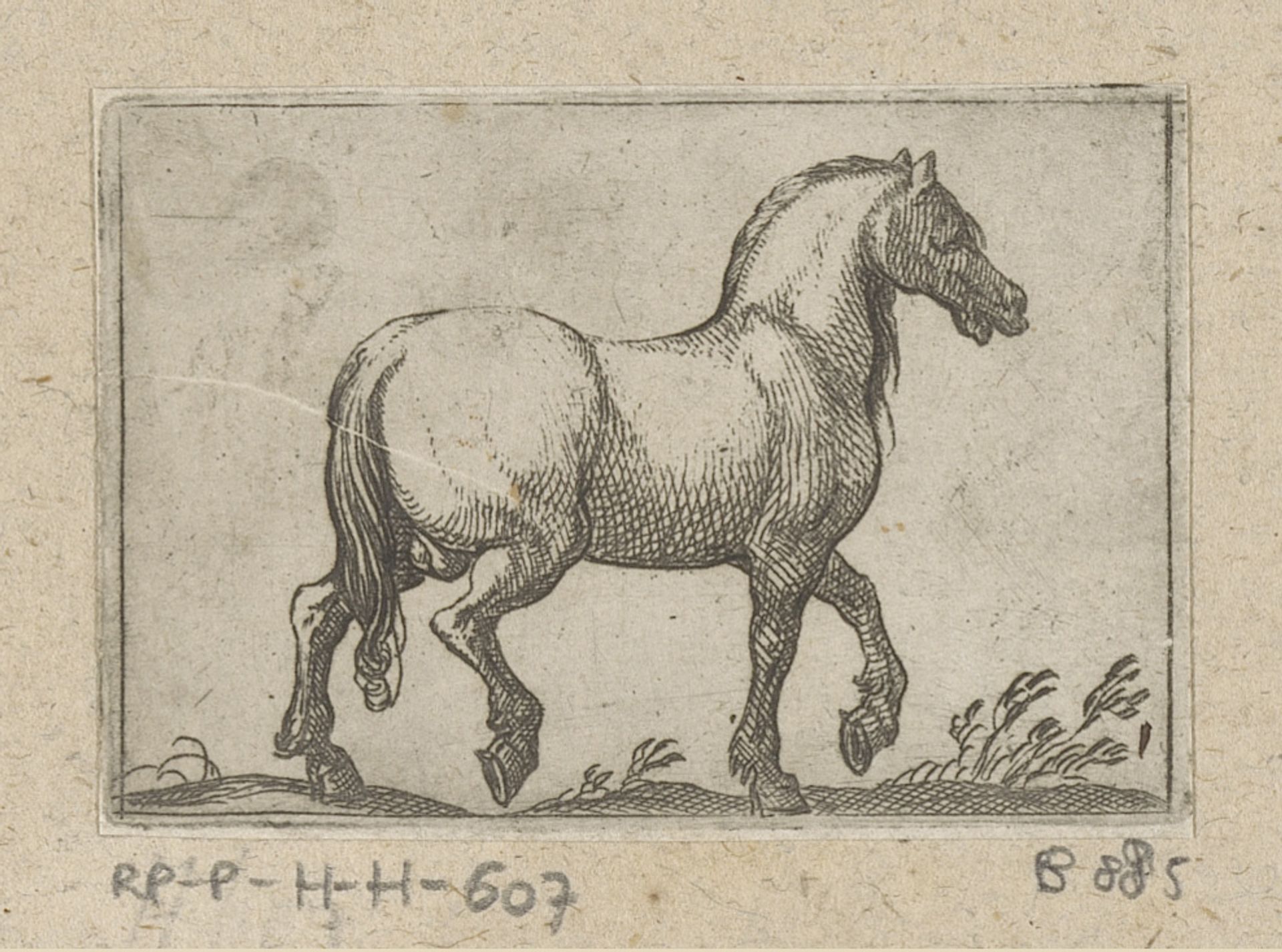 Paard naar rechts lopend by Antonio Tempesta