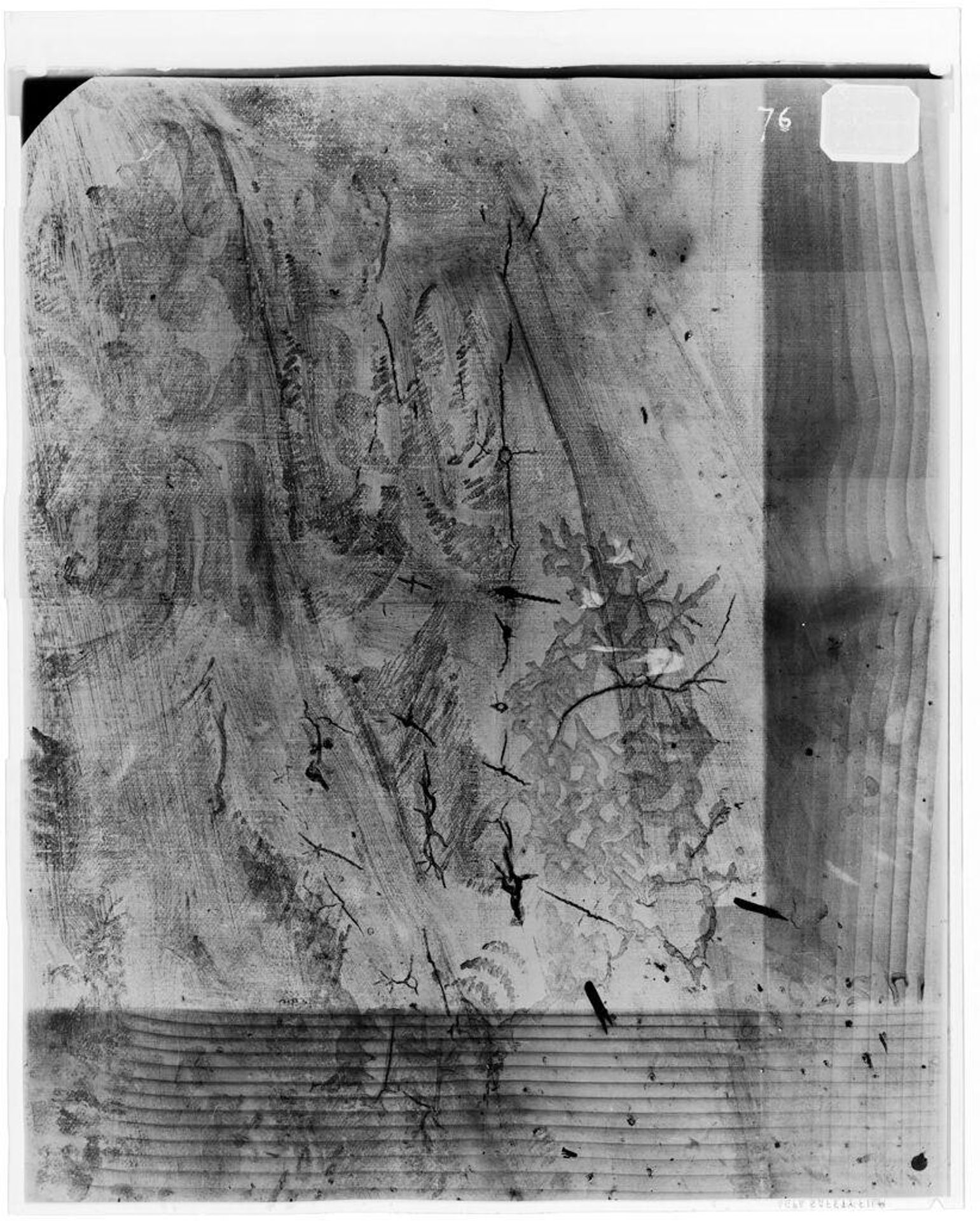 X-radiograph(s) of "Female Portrait" by Artist of original: Antonio Badile