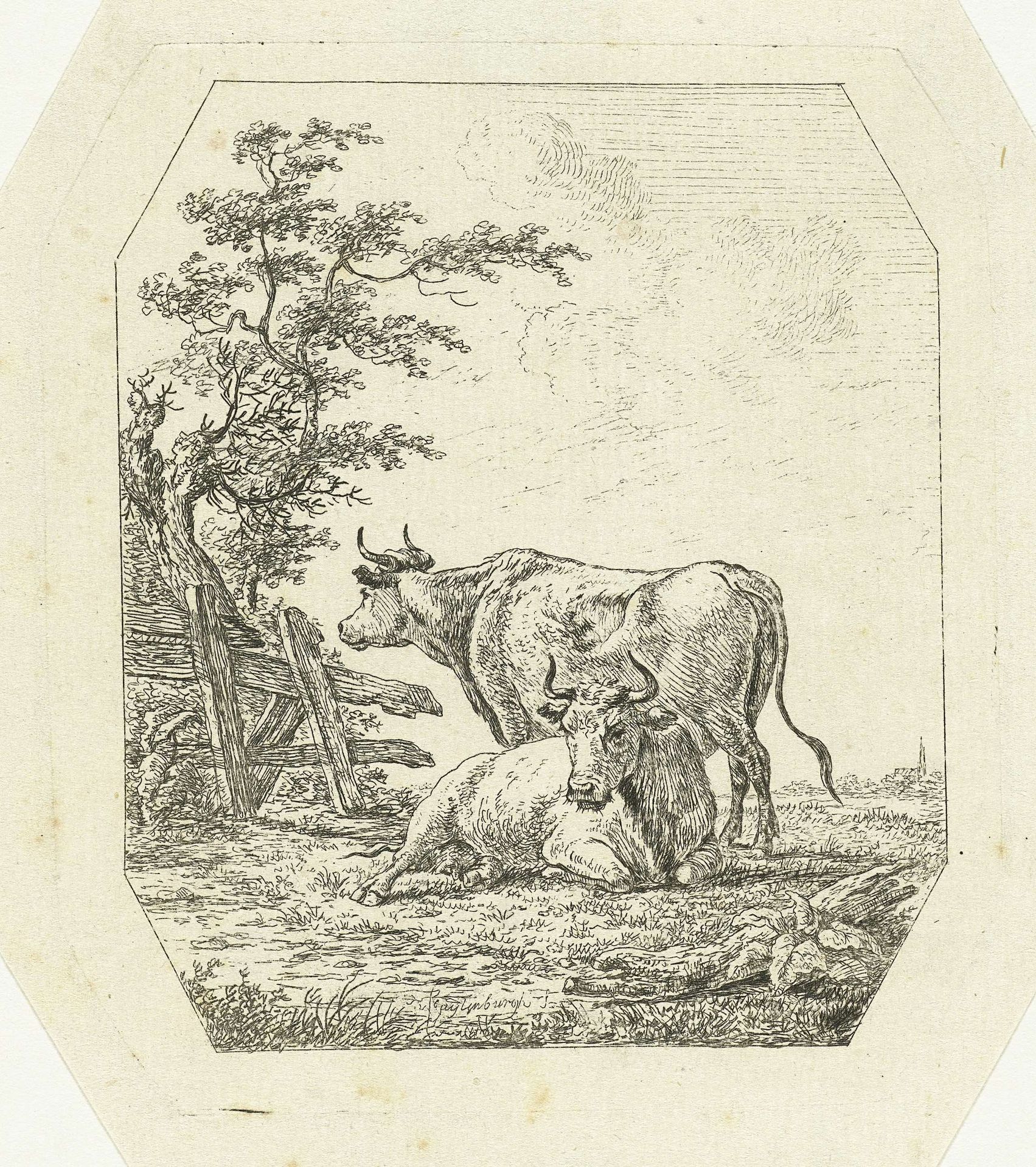 Twee koeien bij een hek by Johannes van Cuylenburgh