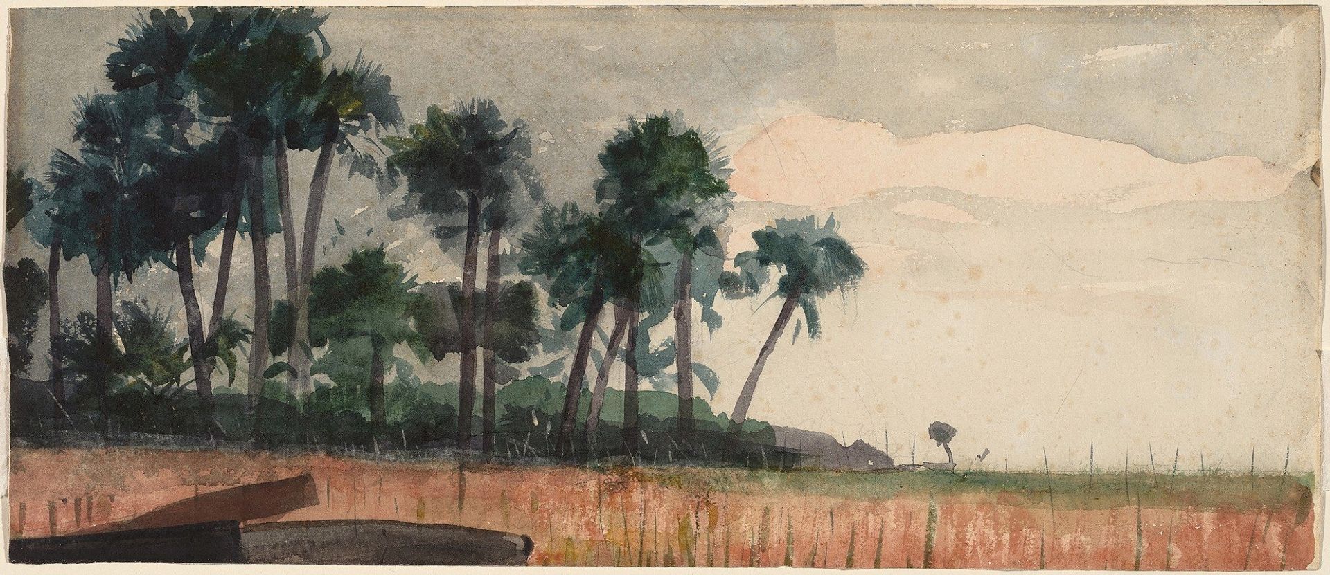 Palm Trees, Red by Winslow Homer