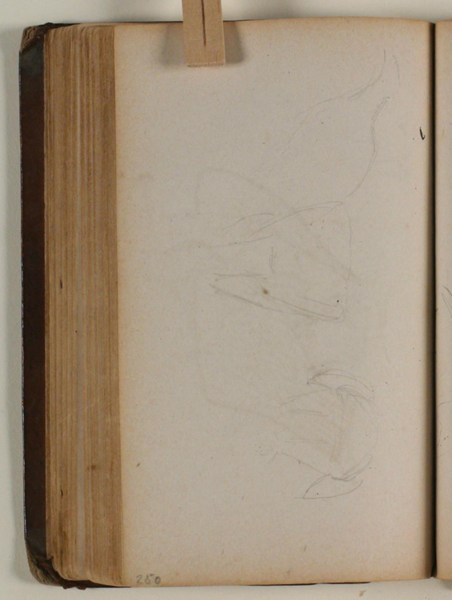 Studier af grib eller duer by Niels Larsen Stevns