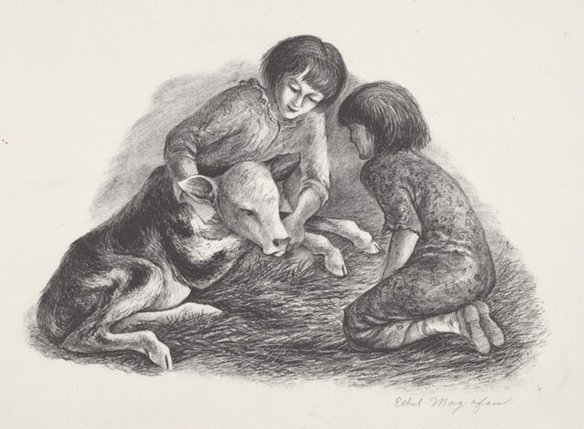 Young Calf by Ethel Magafan
