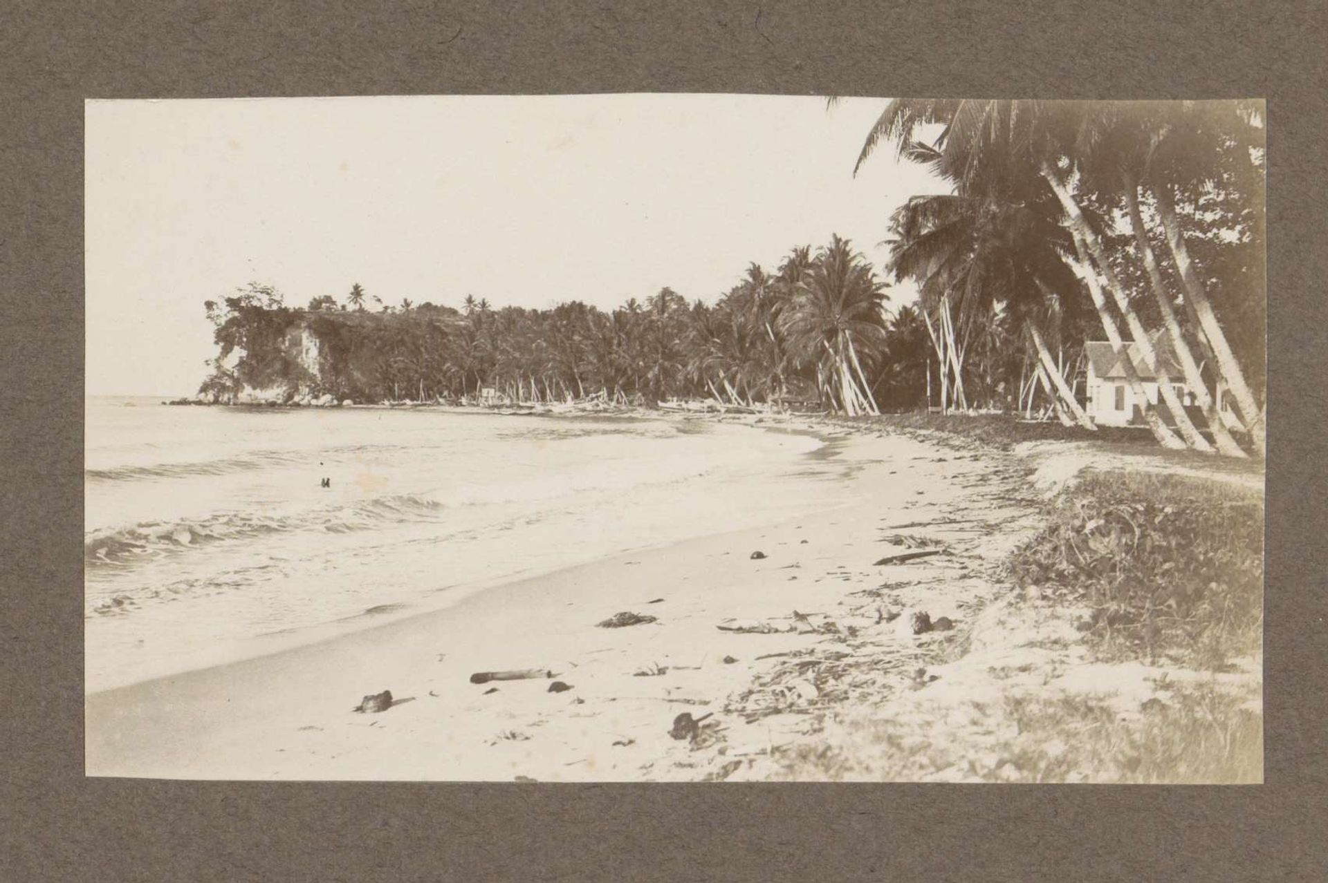 Strandgezicht met huis en palmbomen in Nederlands-Indië by Klaas (I) Kleiterp