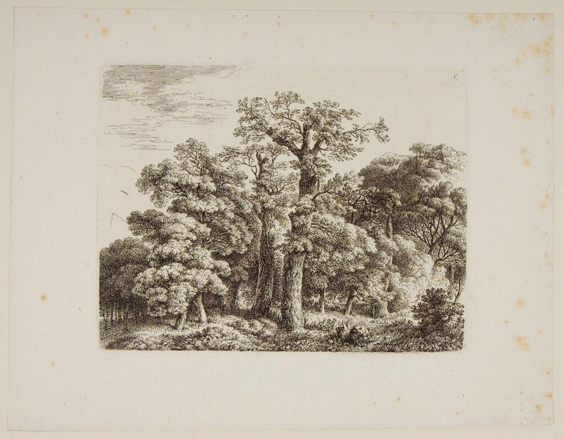Wooded Landscape by Anton KÃ¶lbl