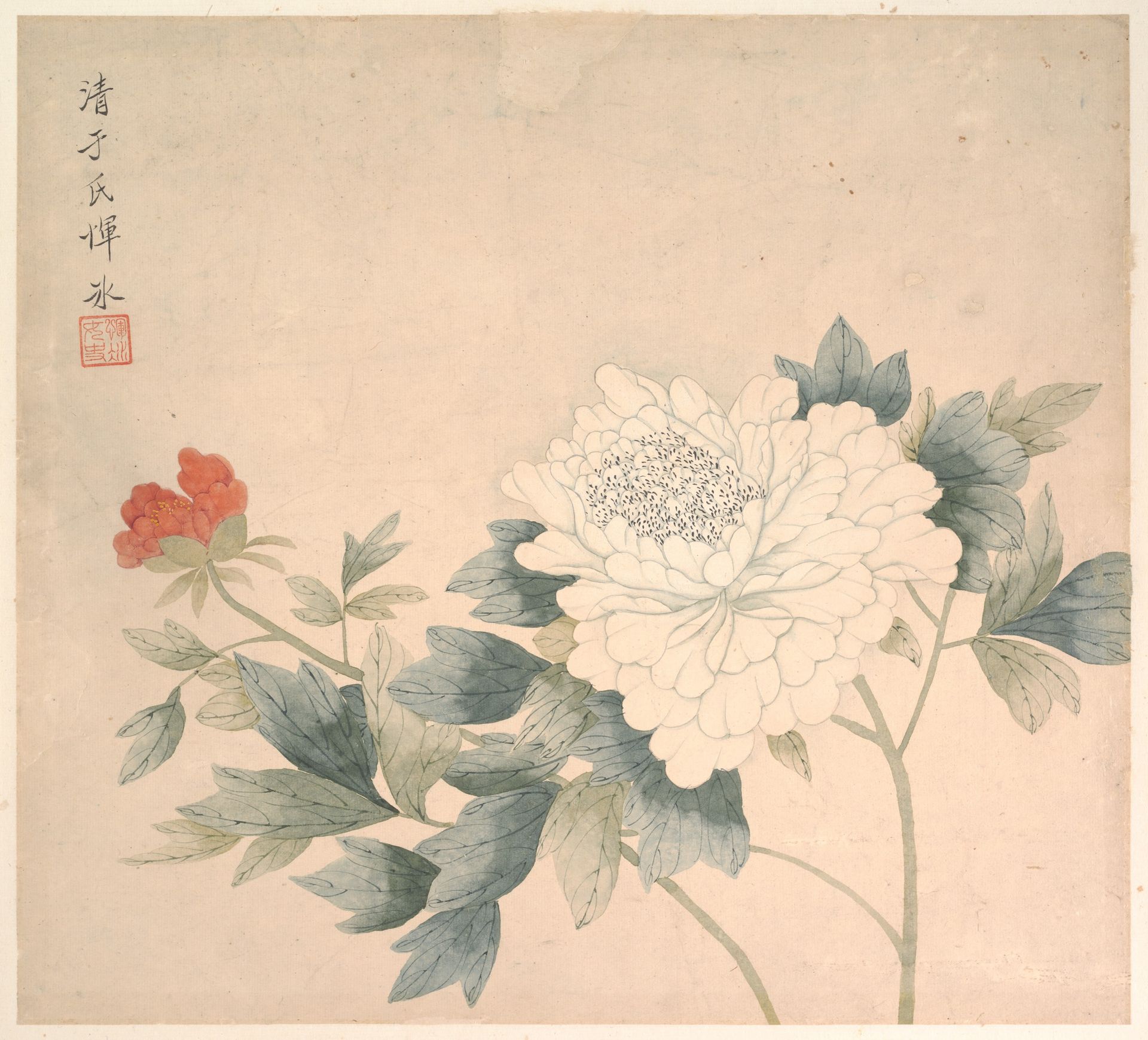 Flower Study by Yun Bing