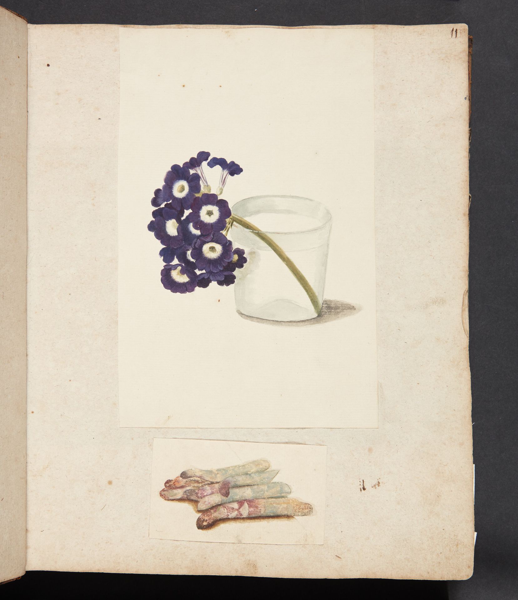 Studie af blomst i glas med vand og hvide asparges by Johanna Fosie