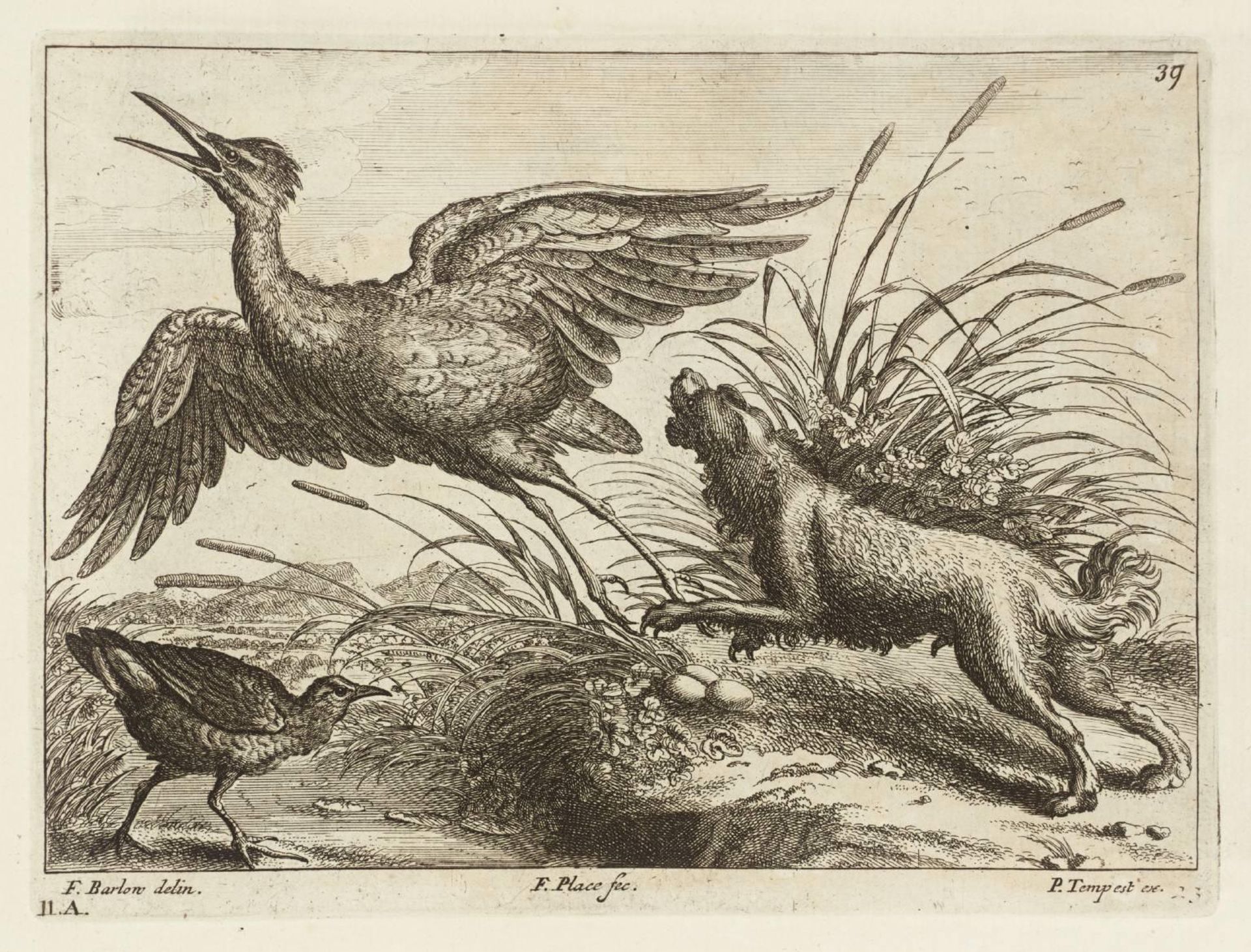[title not known] by Francis Barlow