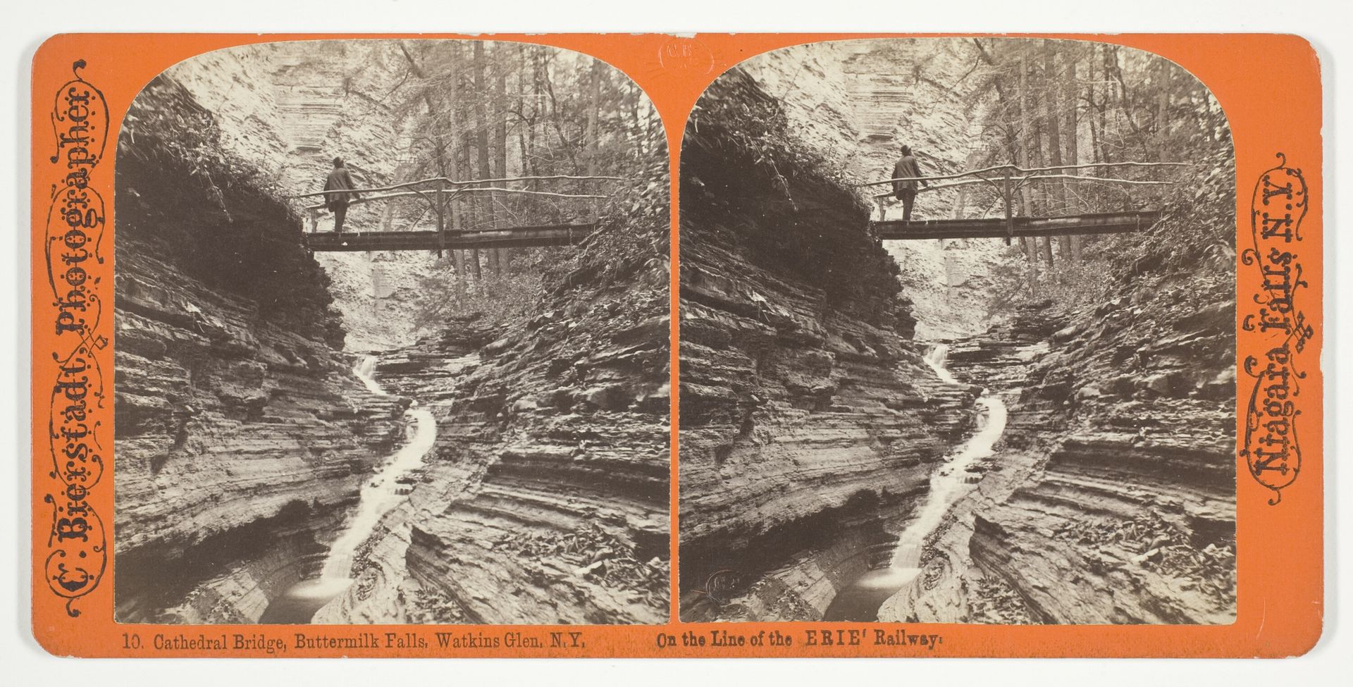 Cathedral Bridge, Buttermilk Falls, Watkins Glen, N.Y. by Charles Bierstadt