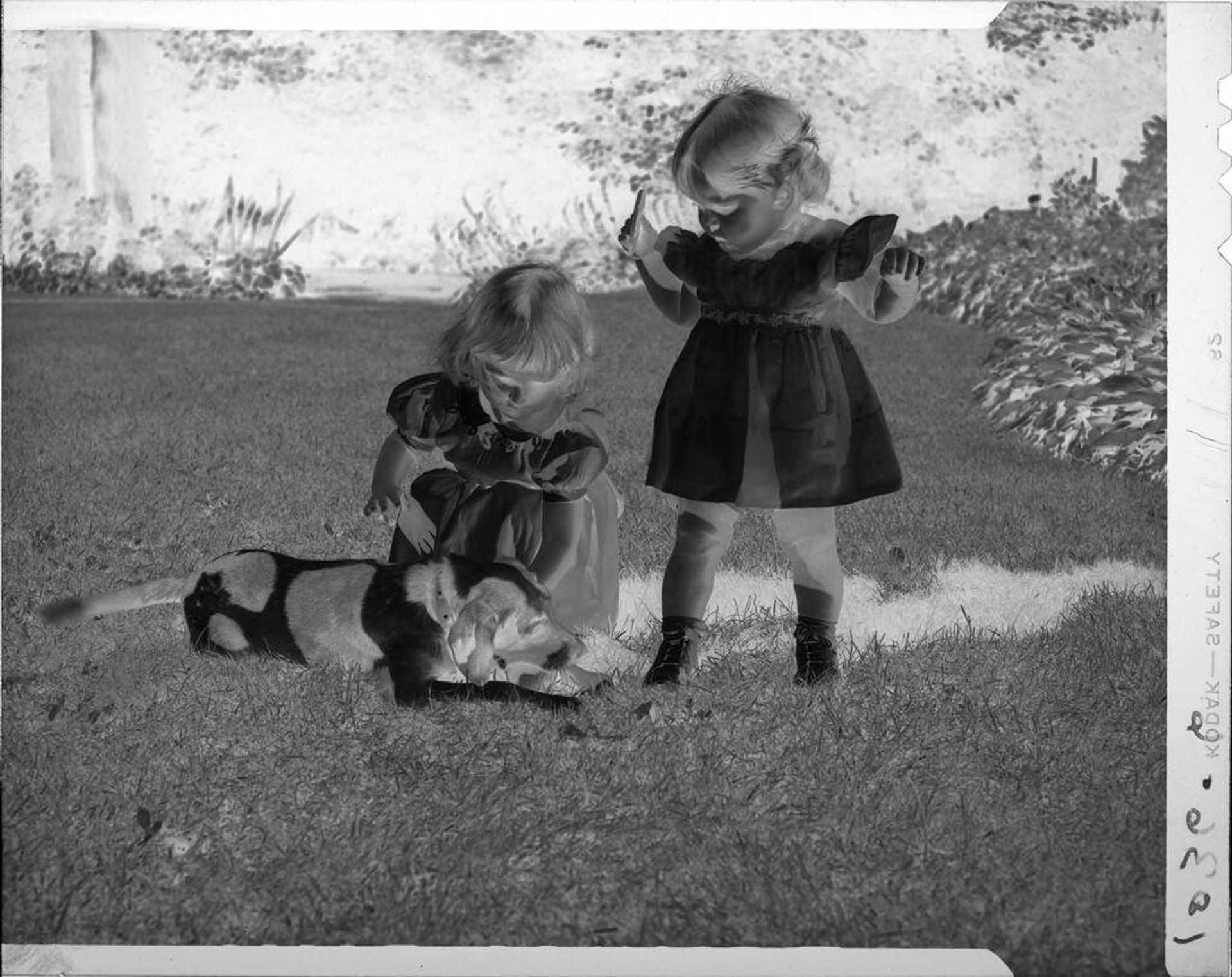 Untitled (two girls with dog on grass) by John Howell