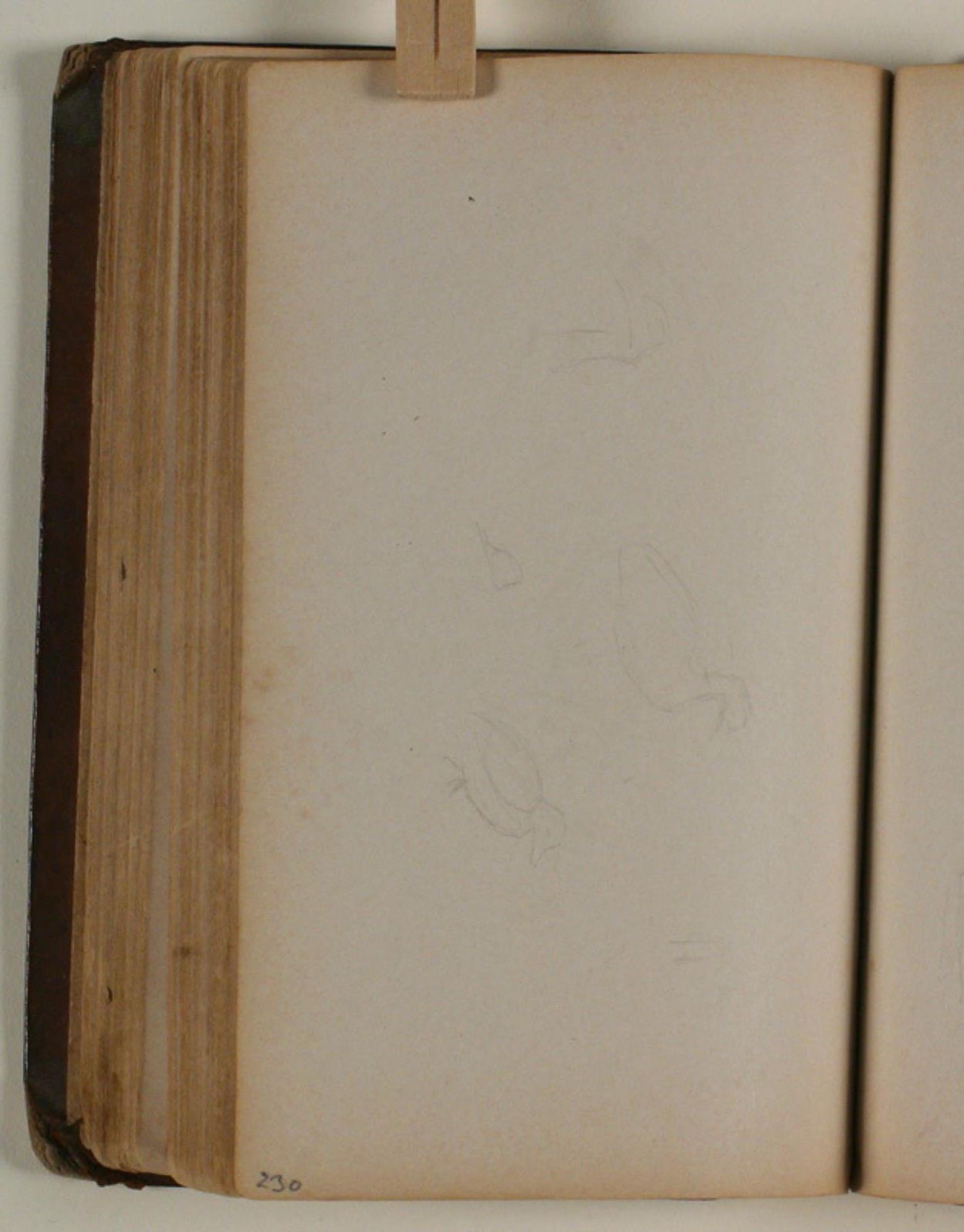 Studier af fugle by Niels Larsen Stevns