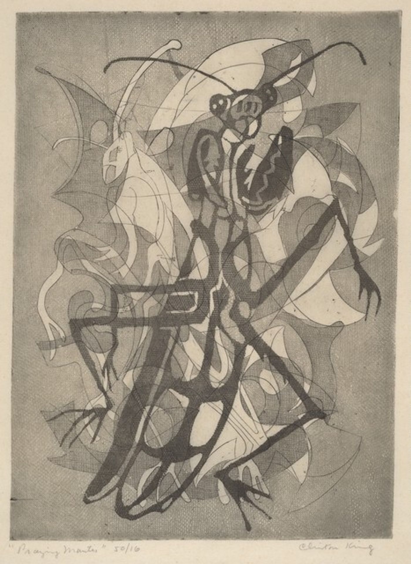 Praying Mantis by Clinton Blair King