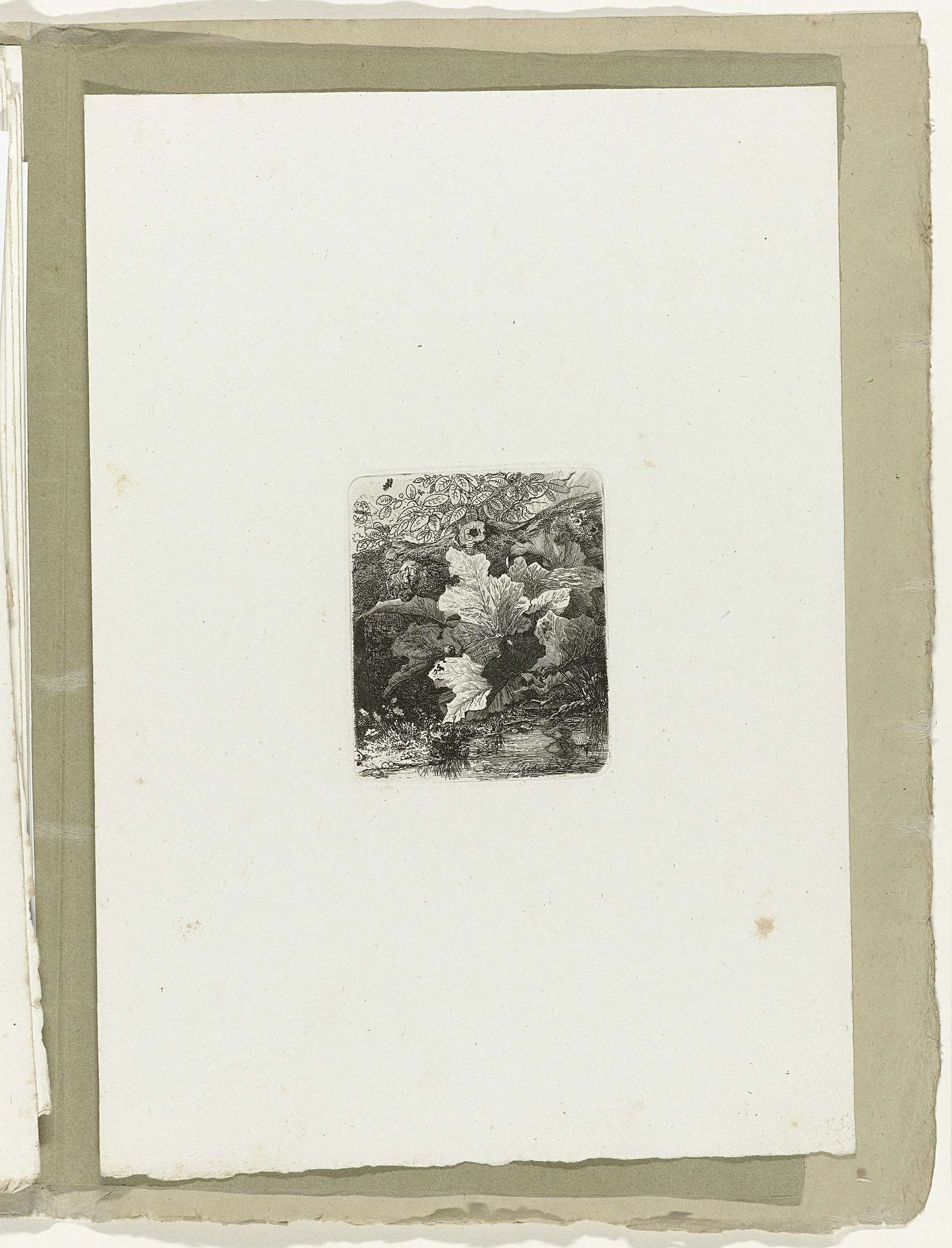 Planten en insecten langs een beek by Carl August Lebschee