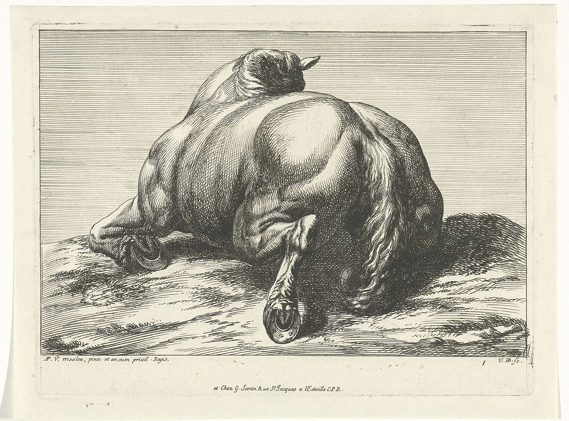 Gesneuveld paard op de buik van achter gezien by Jan van Huchtenburg