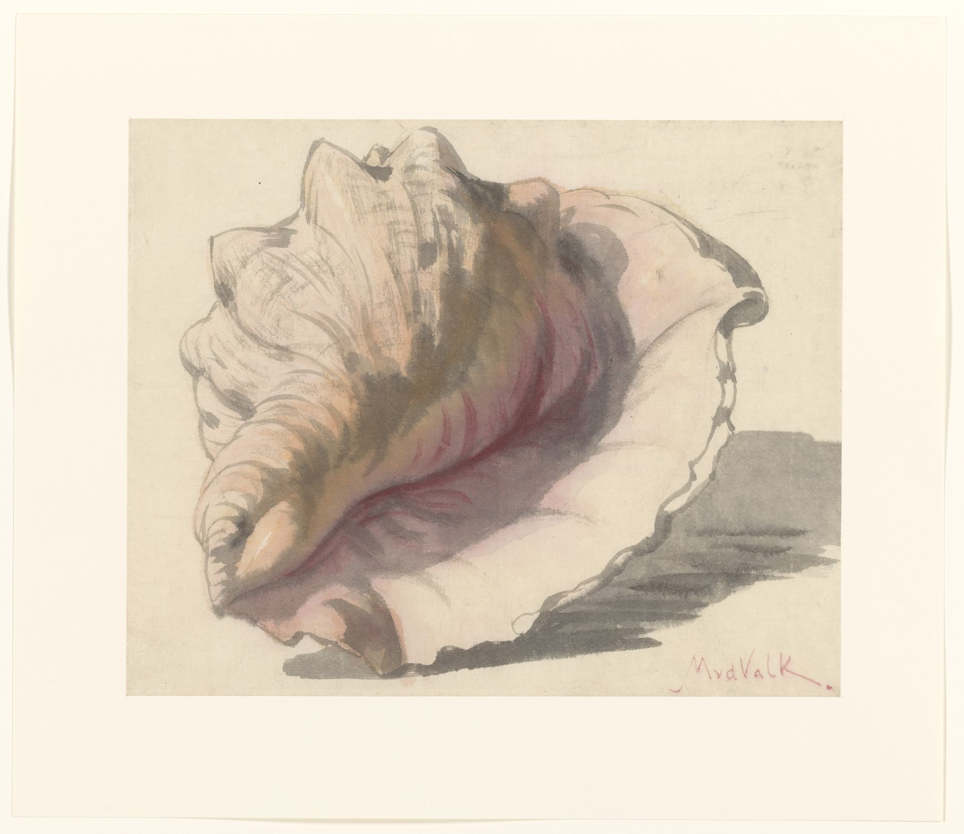 Schelp by Maurits van der Valk