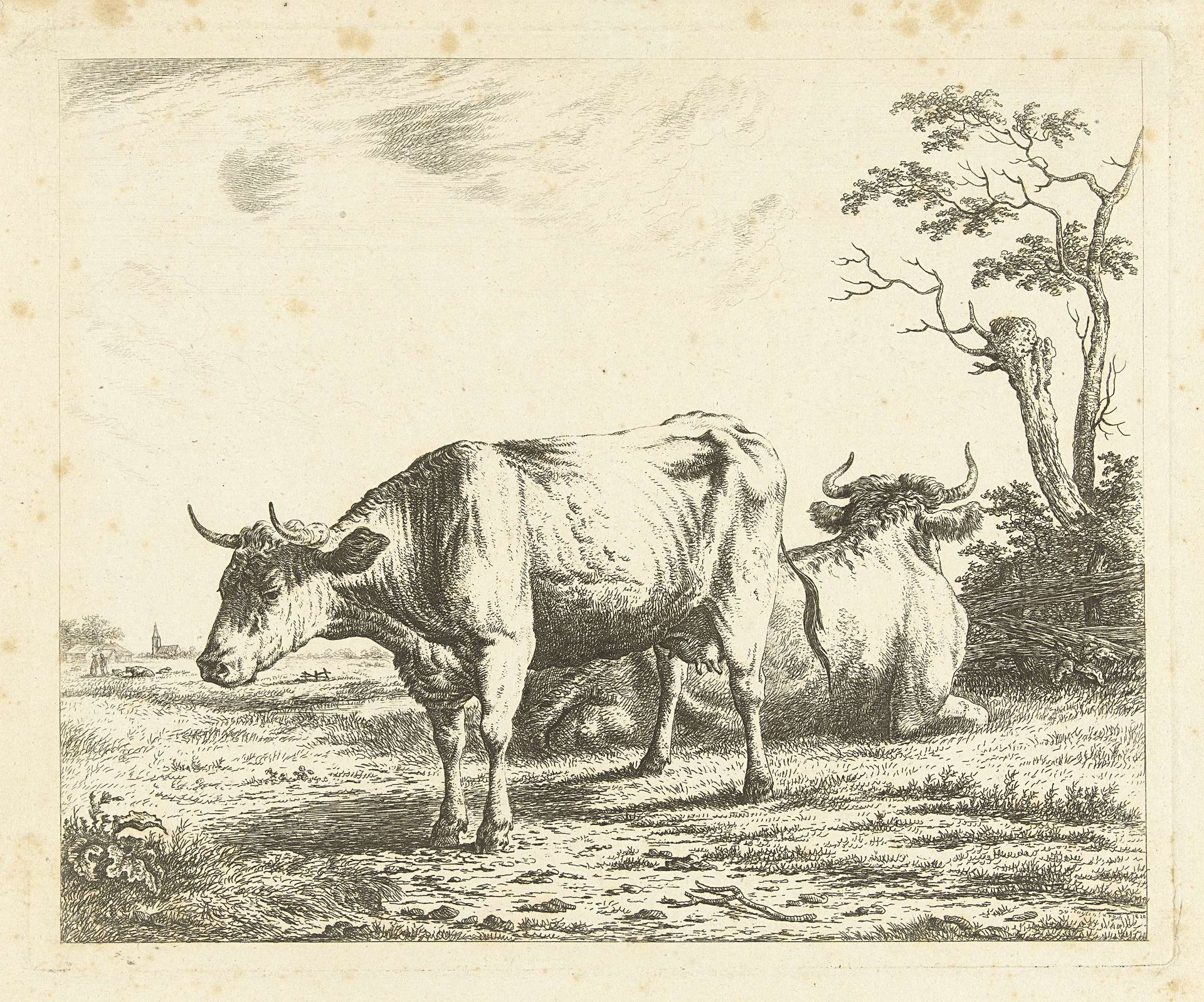 Twee koeien in weide by Johannes van Cuylenburgh