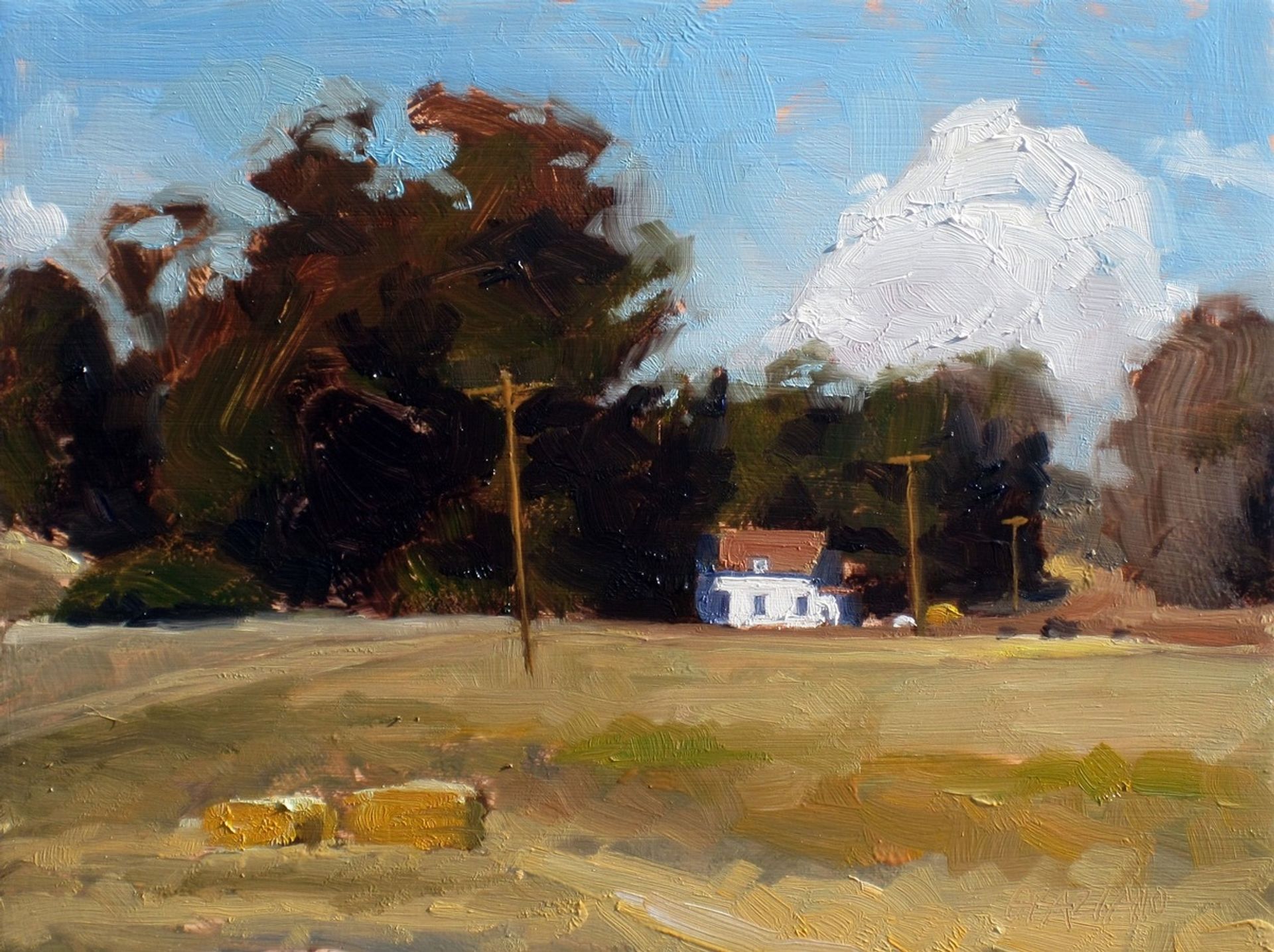 Homestead by Dan Graziano