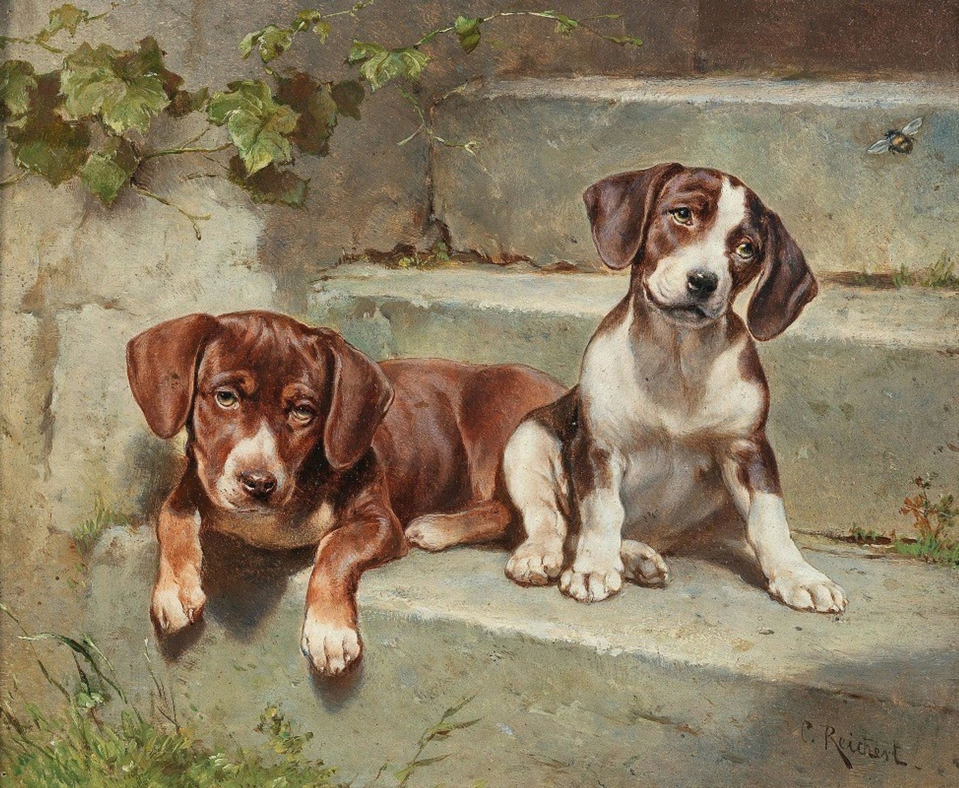 Gestörte Siesta by Carl Reichert