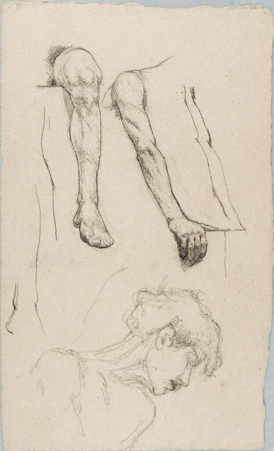 Sketches of Parts of the Human Body by William Valentine Schevill