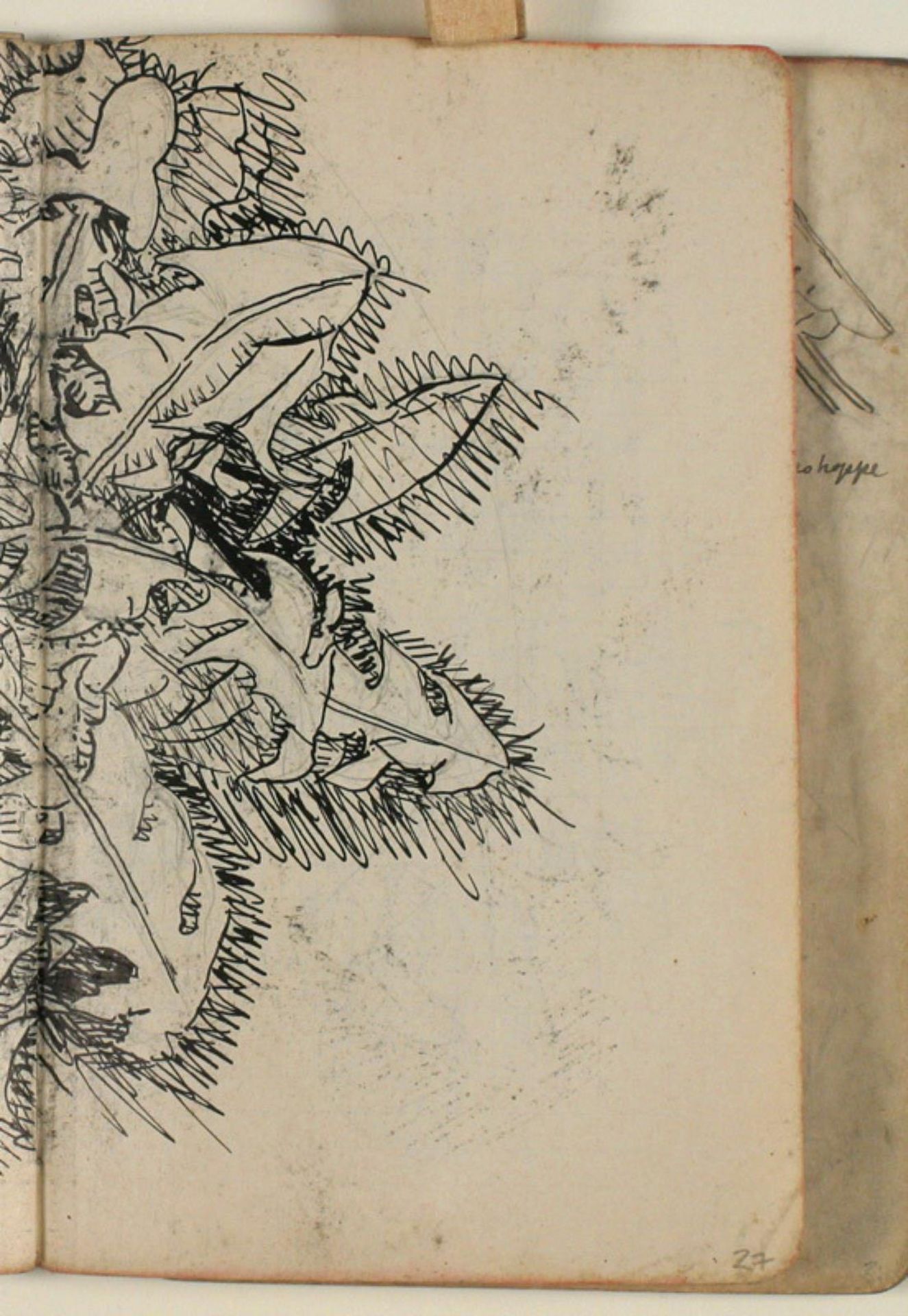 Plantestudie by Niels Larsen Stevns
