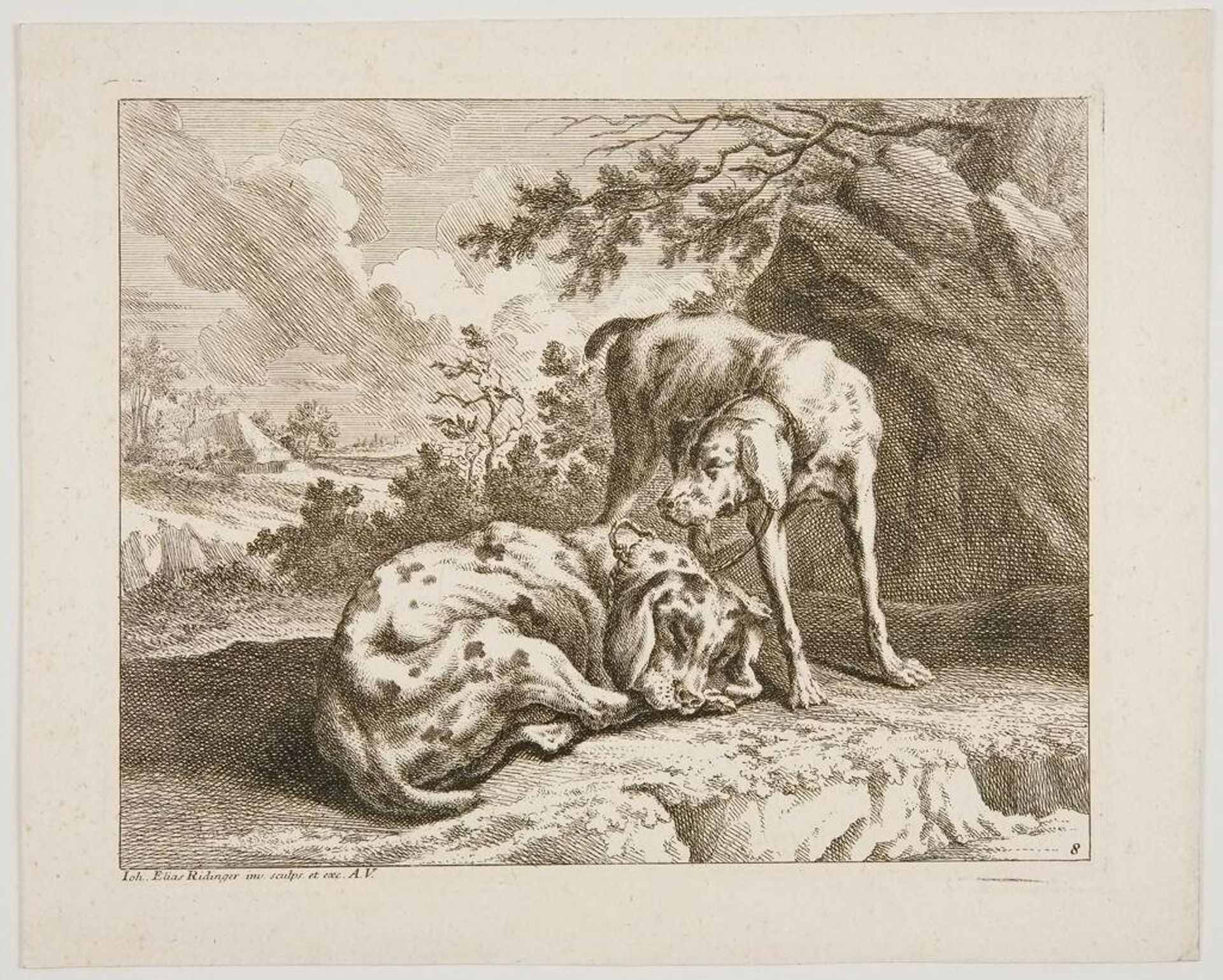 Dogs by Johann Elias Ridinger