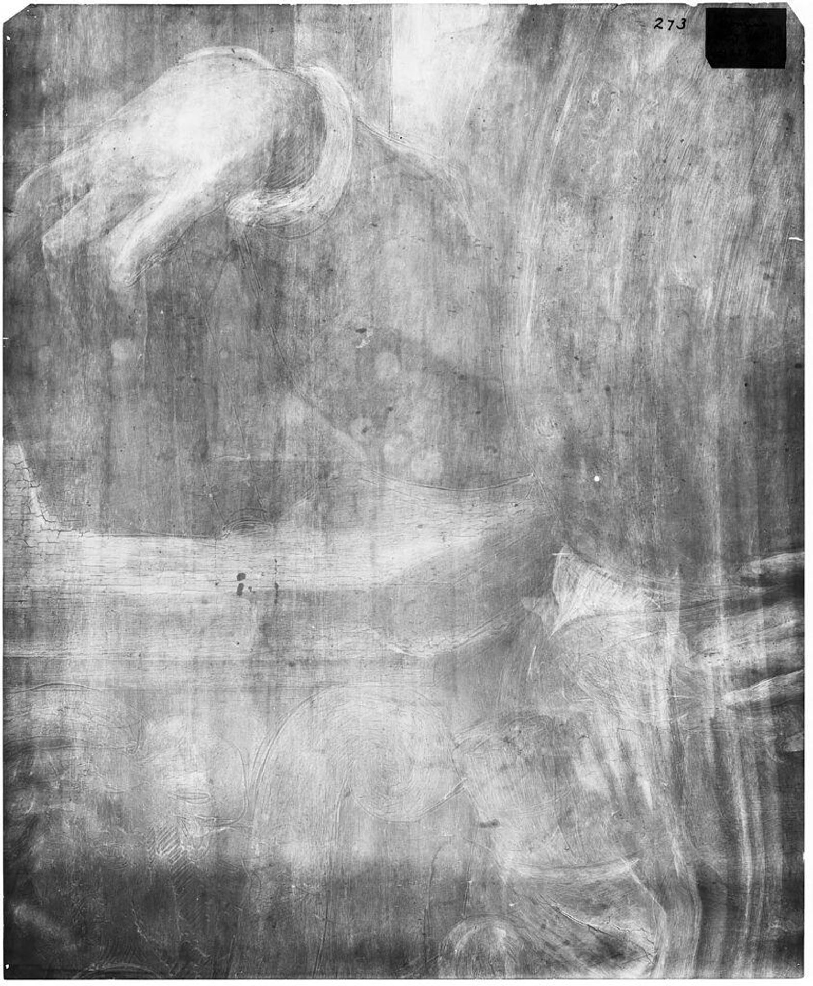 X-radiograph(s) of "Male Portrait" by Artist of original: Agnolo Bronzino