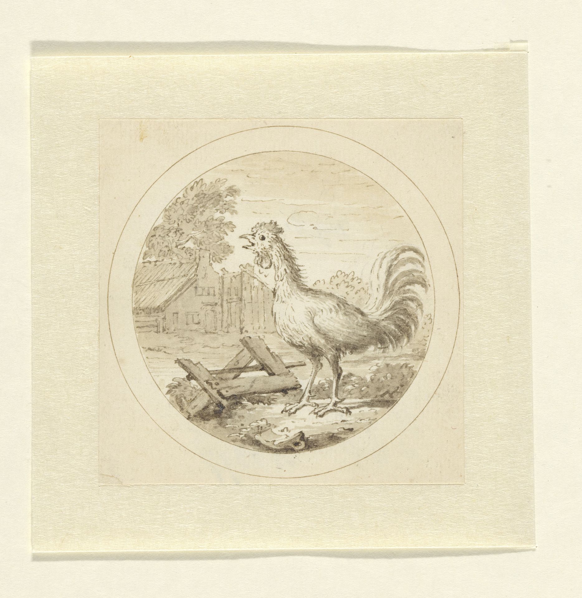 De Haan by Arnold Houbraken