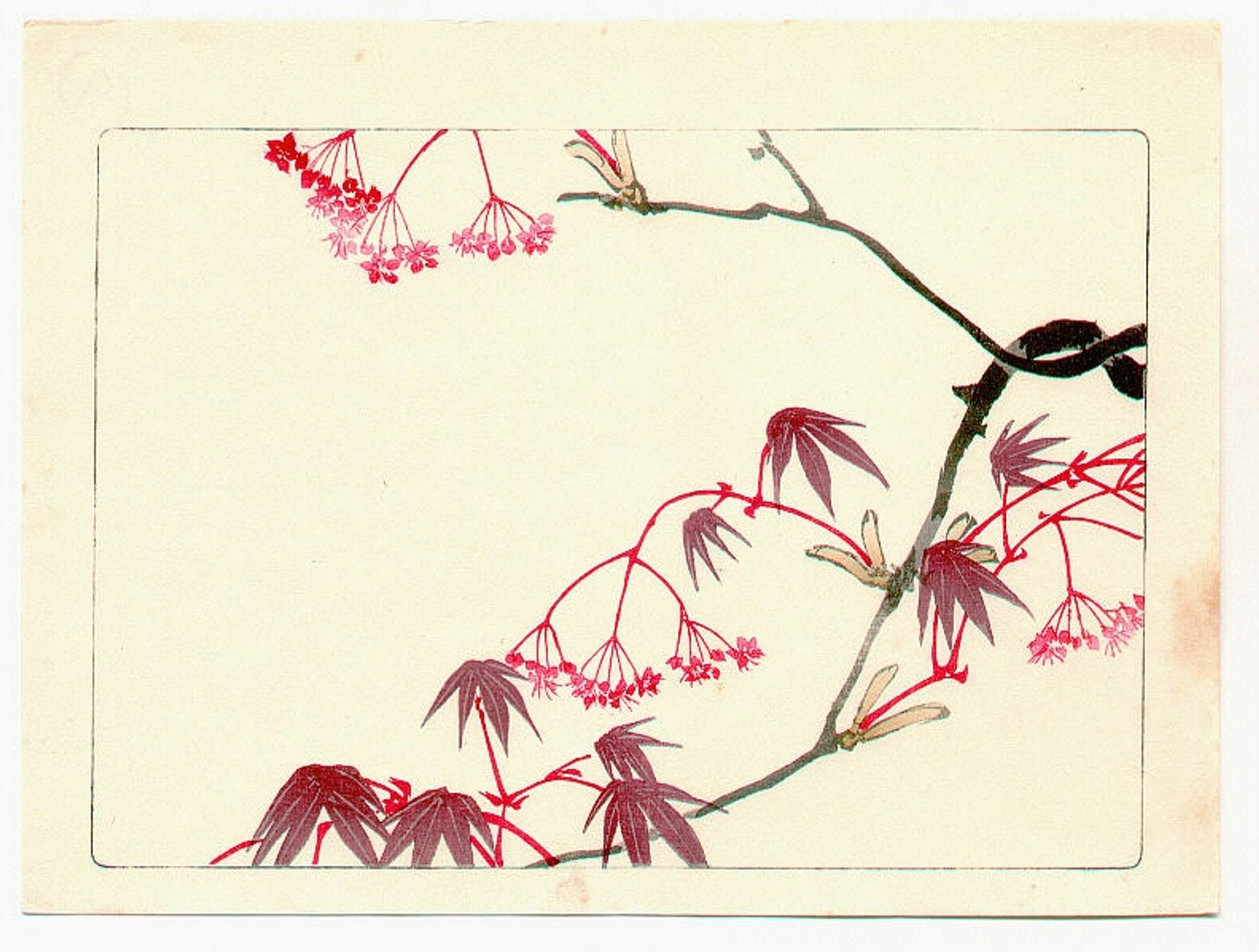 Red Maple - Hana Kurabe by Shibata Zeshin