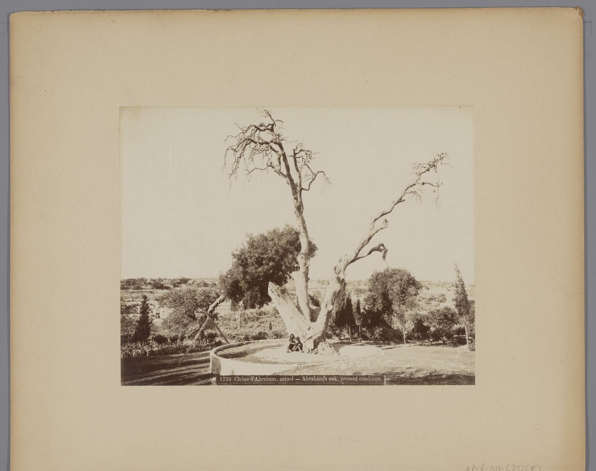 Abrahams's Eik, Mamre, Palestina by Maison Bonfils