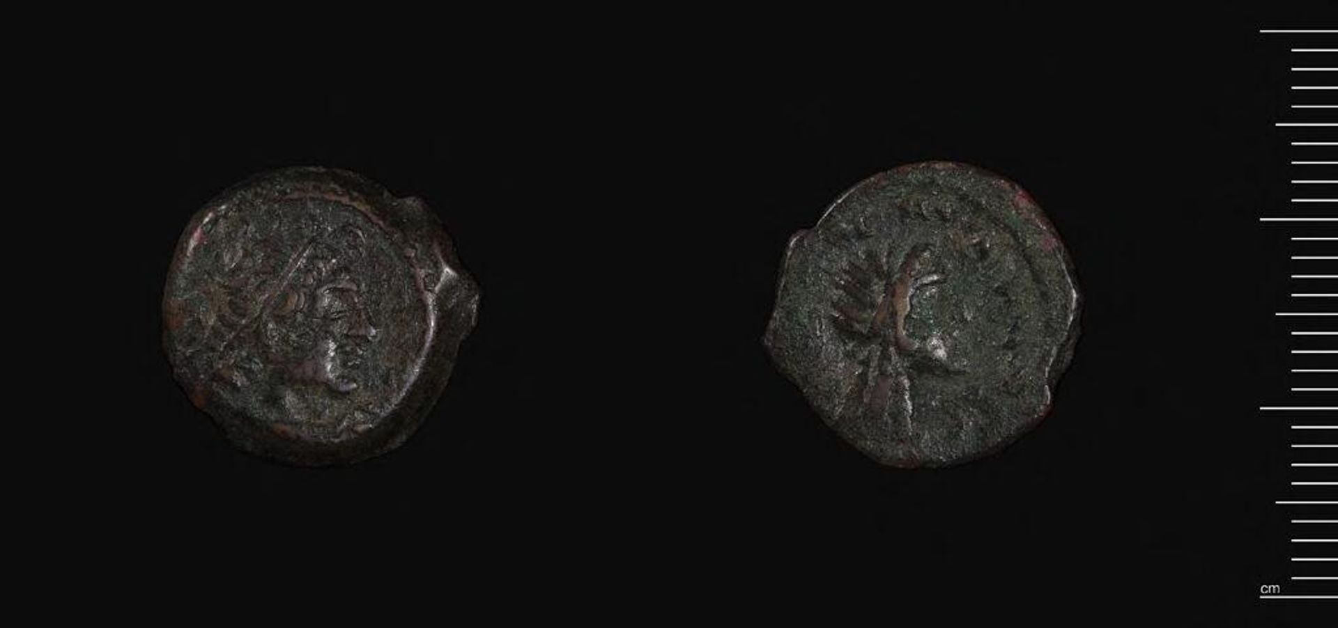 Coin of Ptolemy III of Egypt, Kyrenaica by Ptolemy III Euergetes