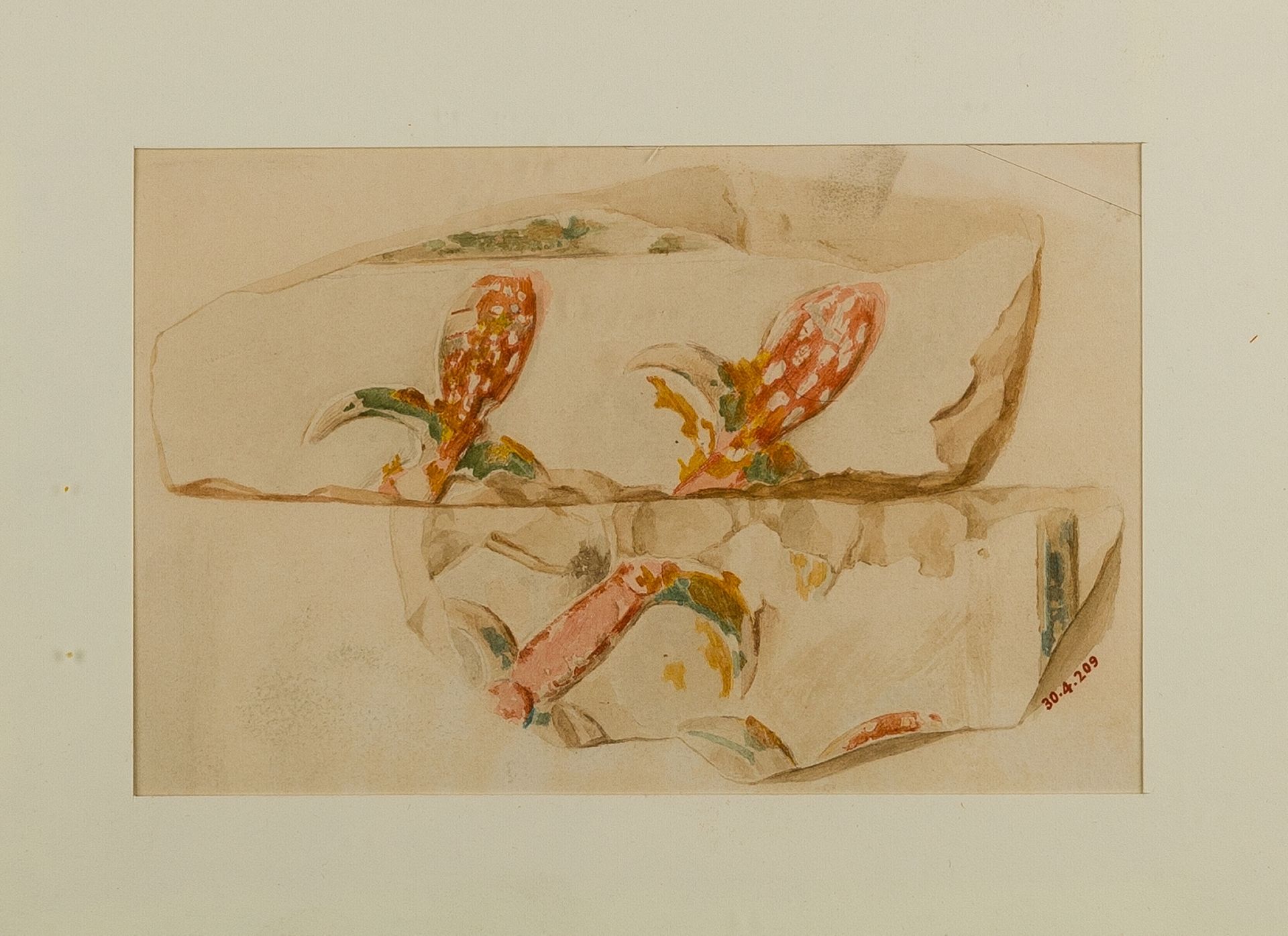 Water Plants by Hugh R. Hopgood