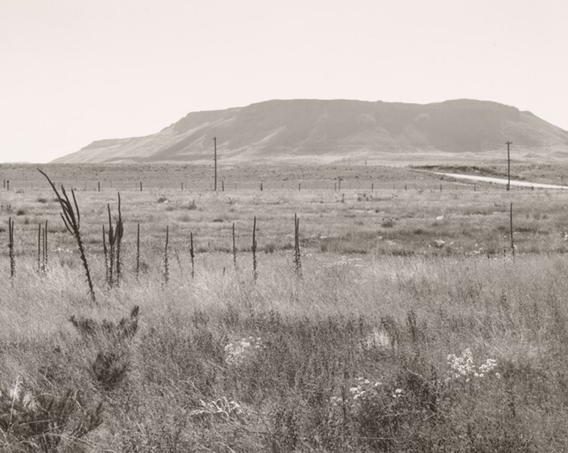 North Table Mountain, Jefferson County, Colorado by Robert Adams