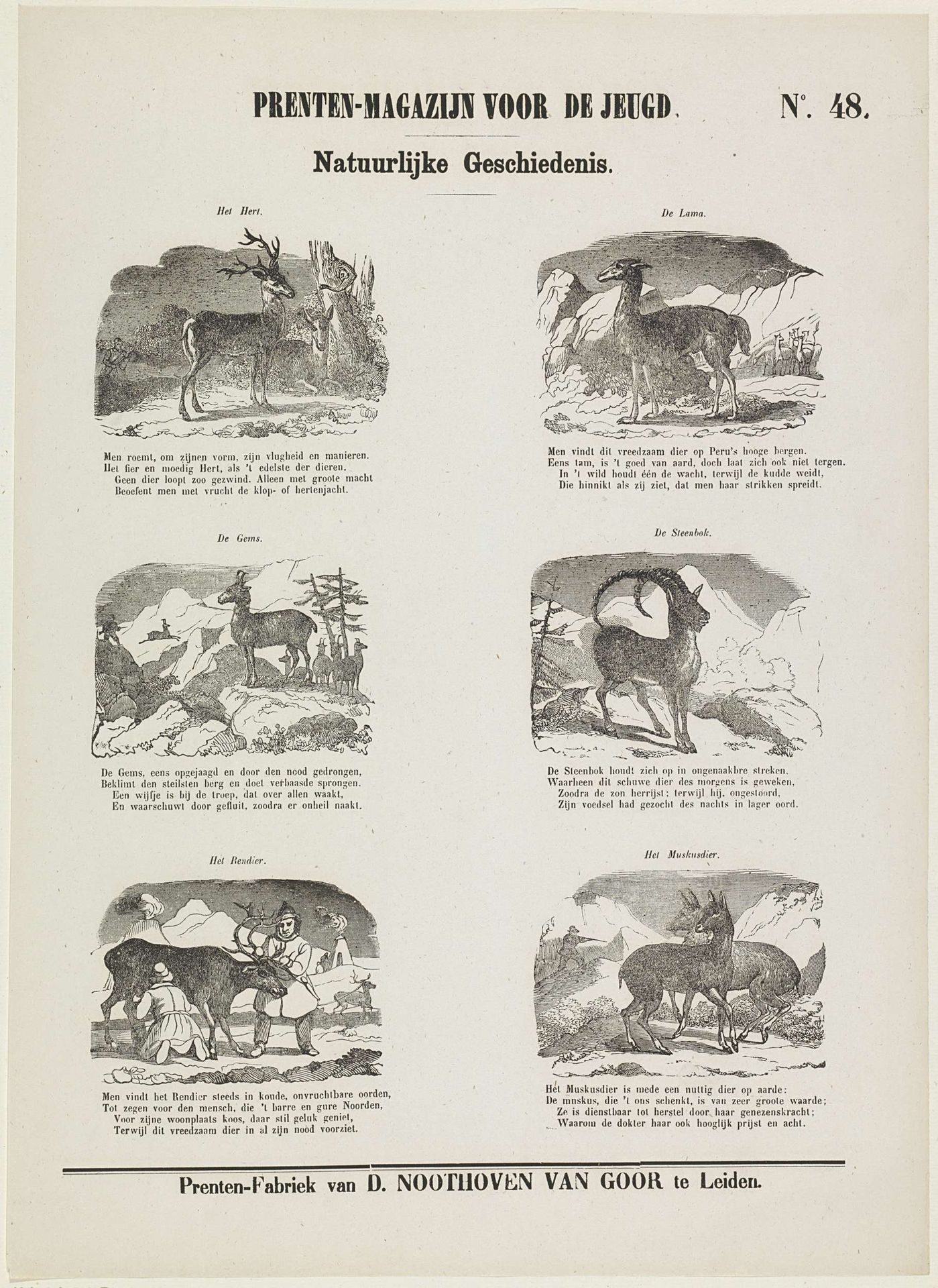 Dieren by Dirk Noothoven van Goor